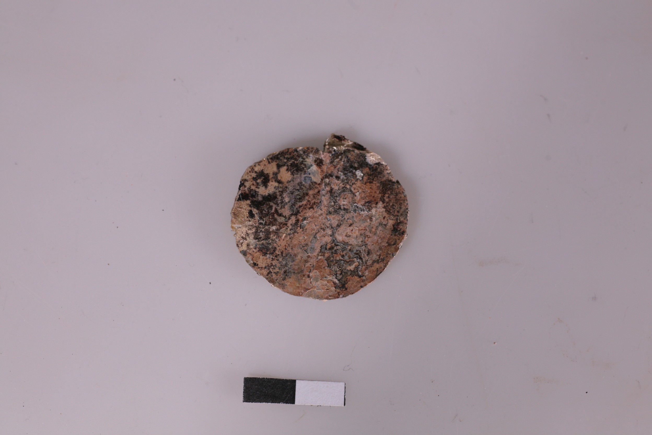 Nog een foto van  Schijf