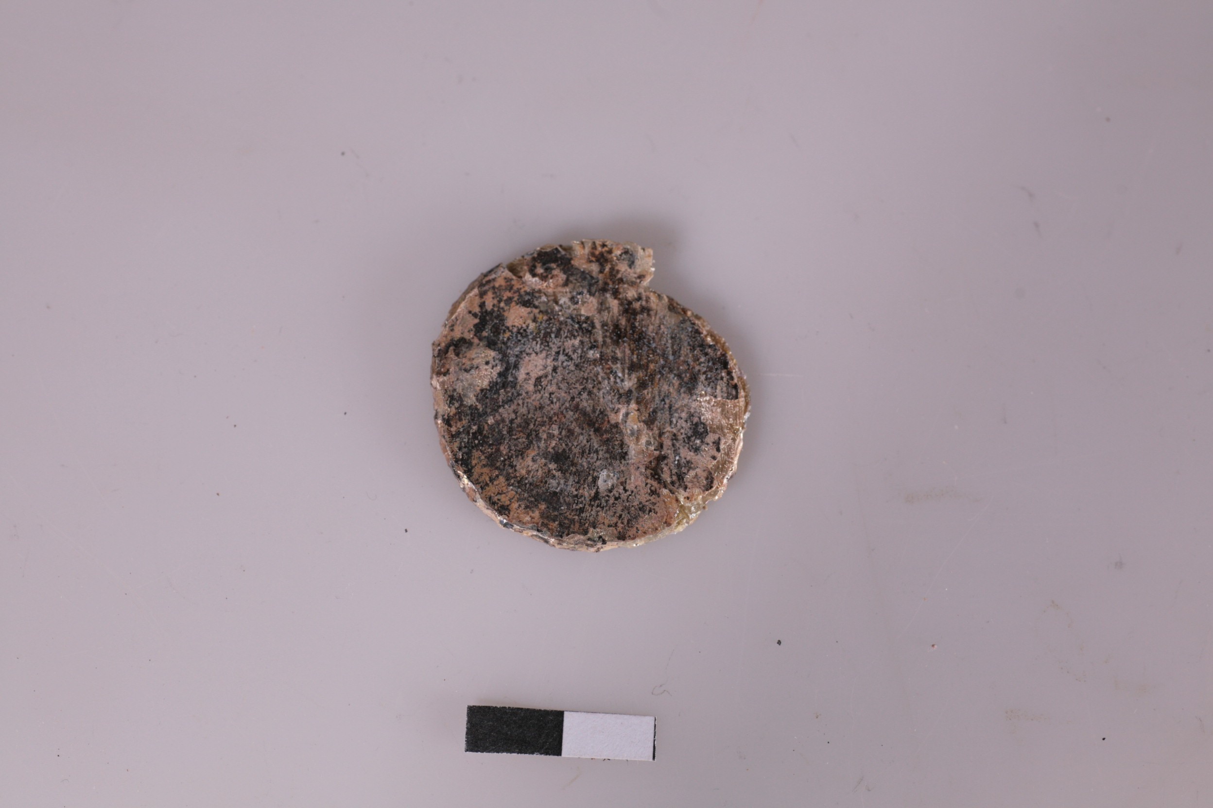 Nog een foto van  Schijf