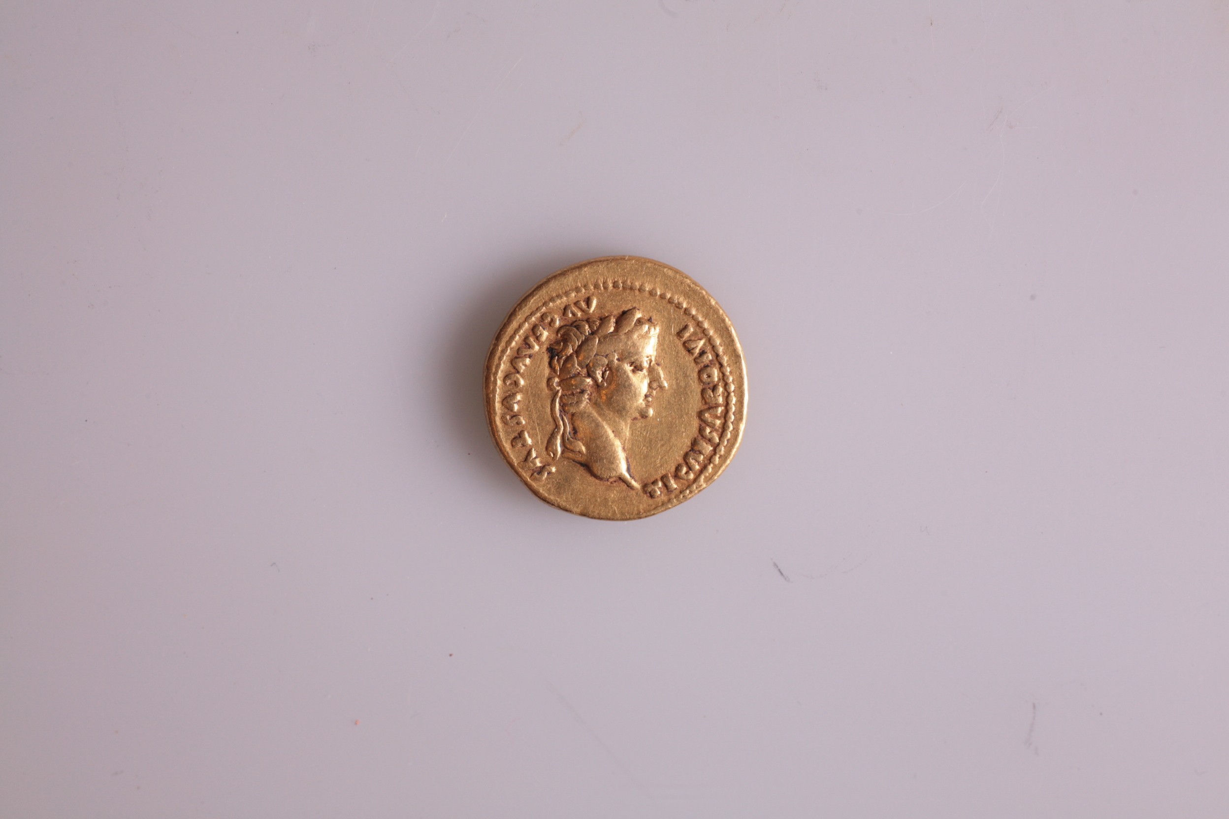 Nog een foto van  aureus