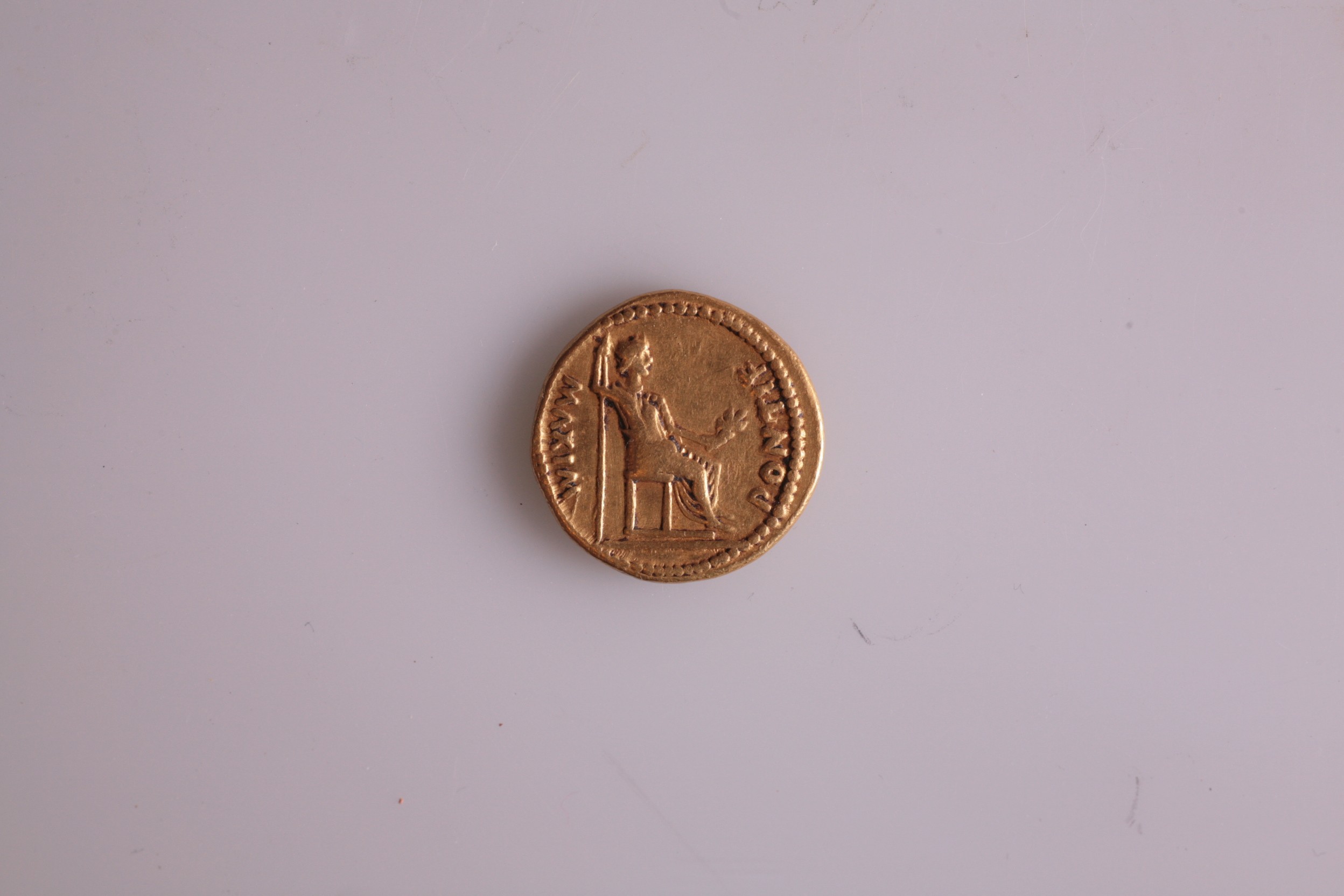 Nog een foto van  aureus