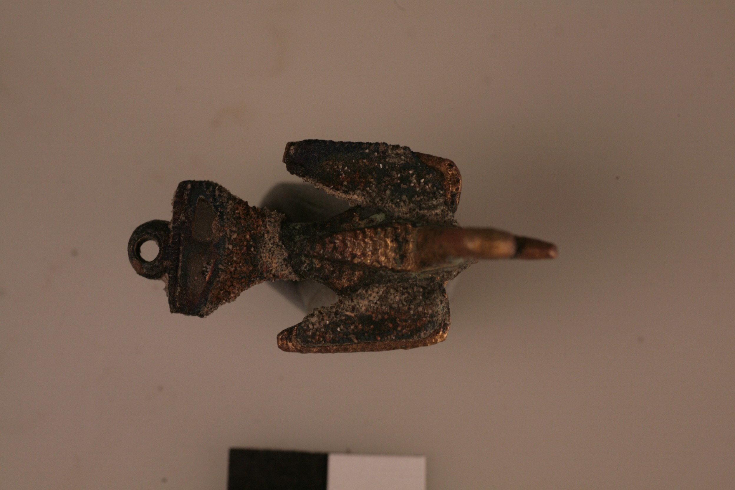 Nog een foto van  vogelfibula