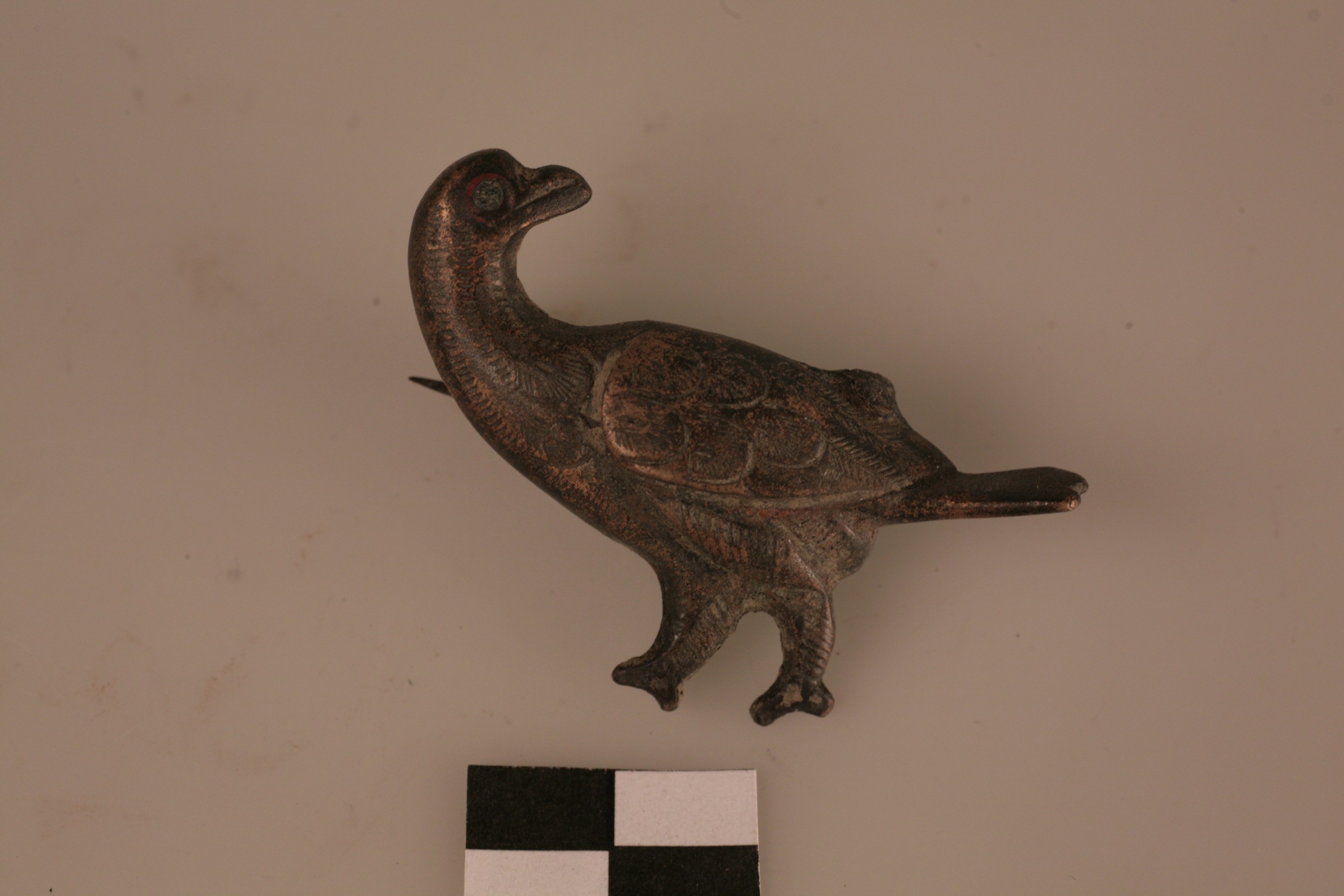 Nog een foto van  vogelfibula