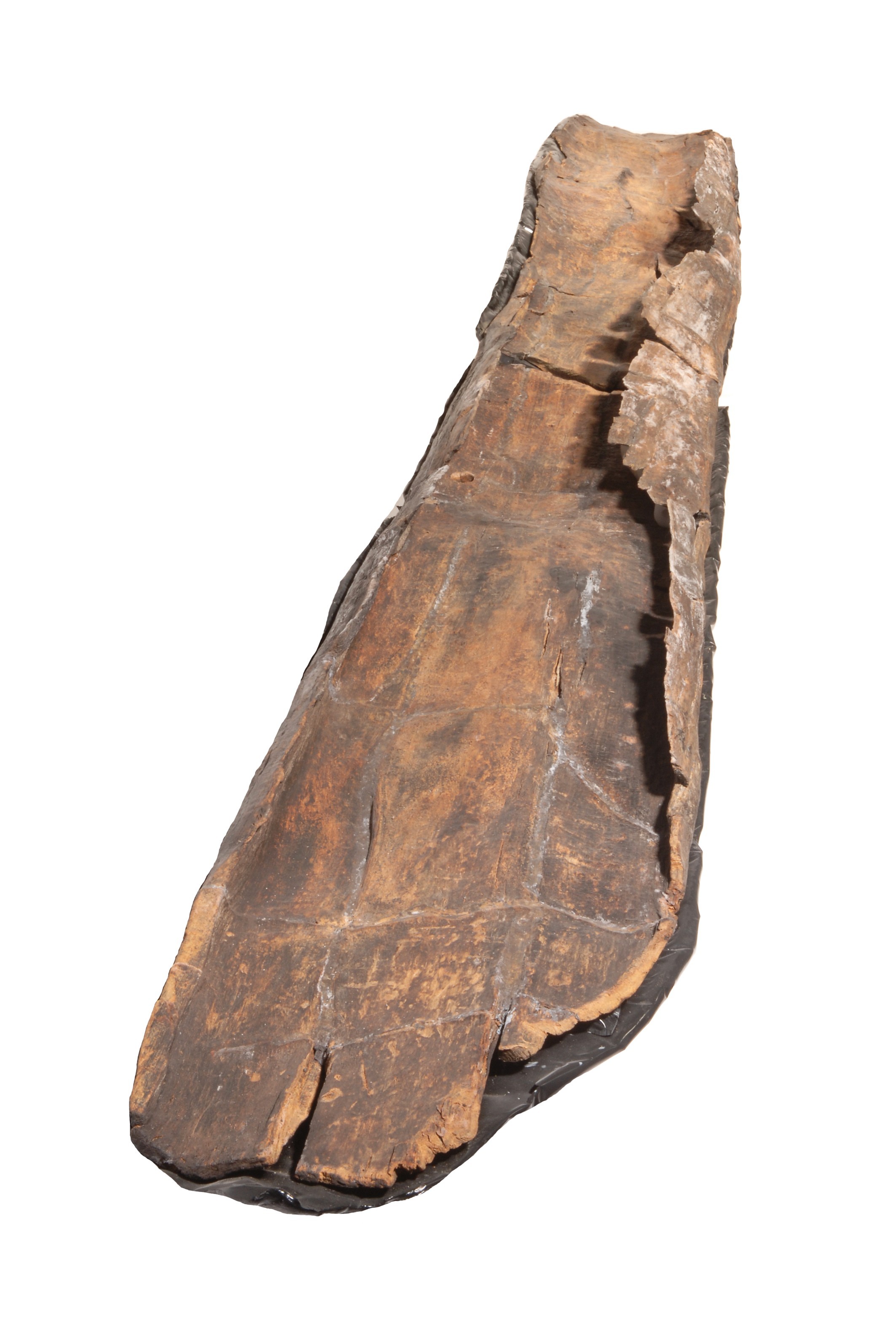 Foto van type boomstamboot/boomstamkano