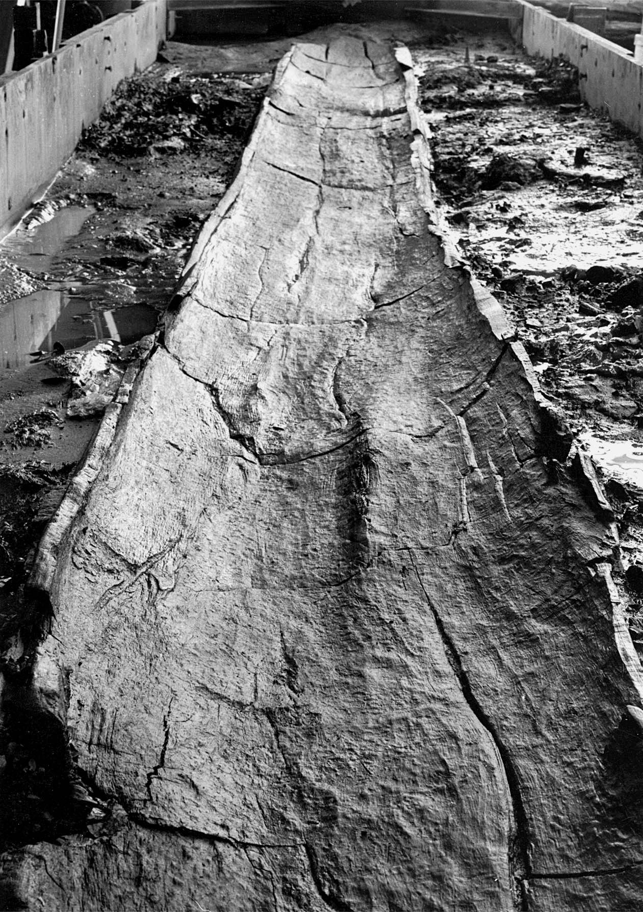 Nog een foto van  type boomstamboot/boomstamkano