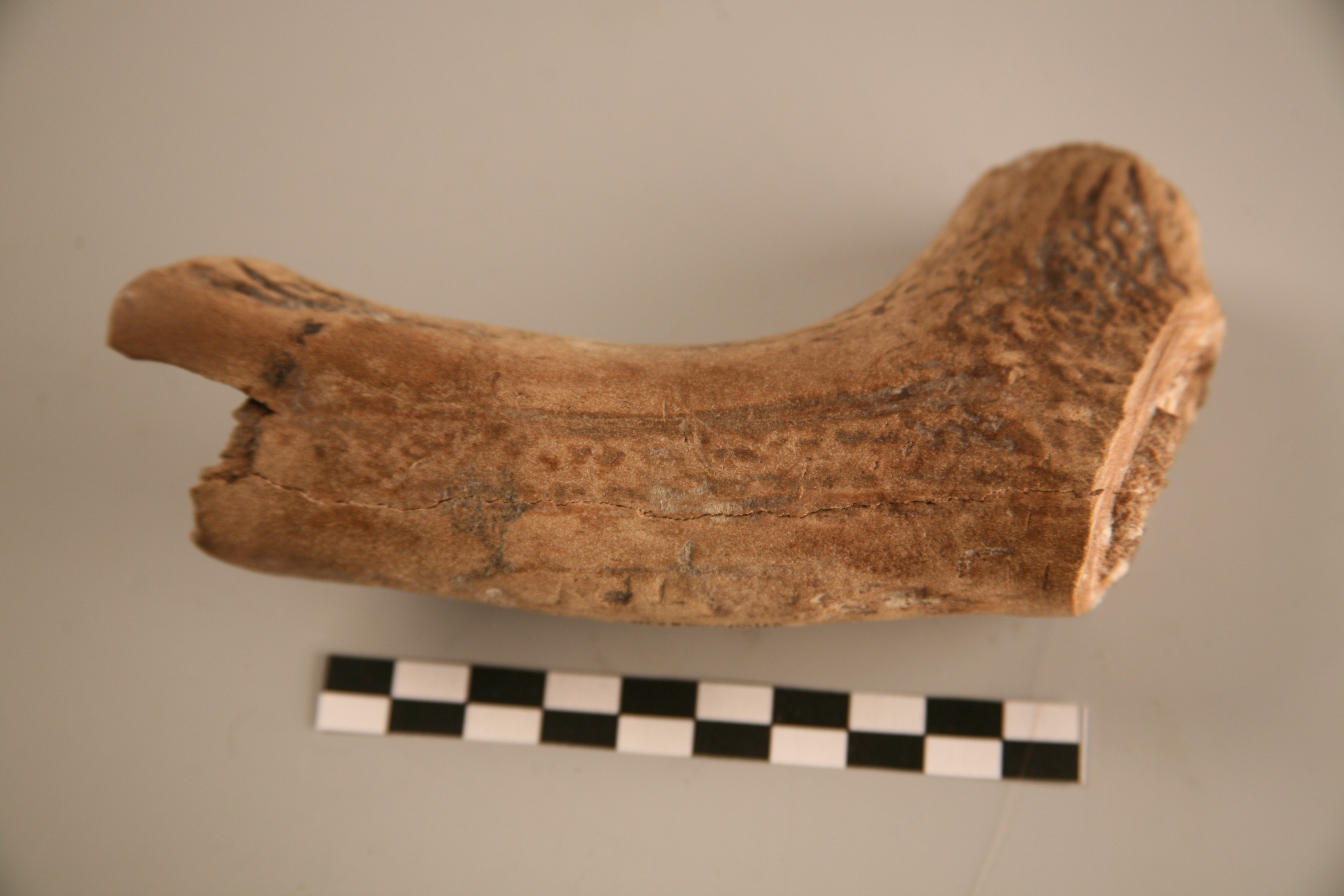 Nog een foto van  Bijl