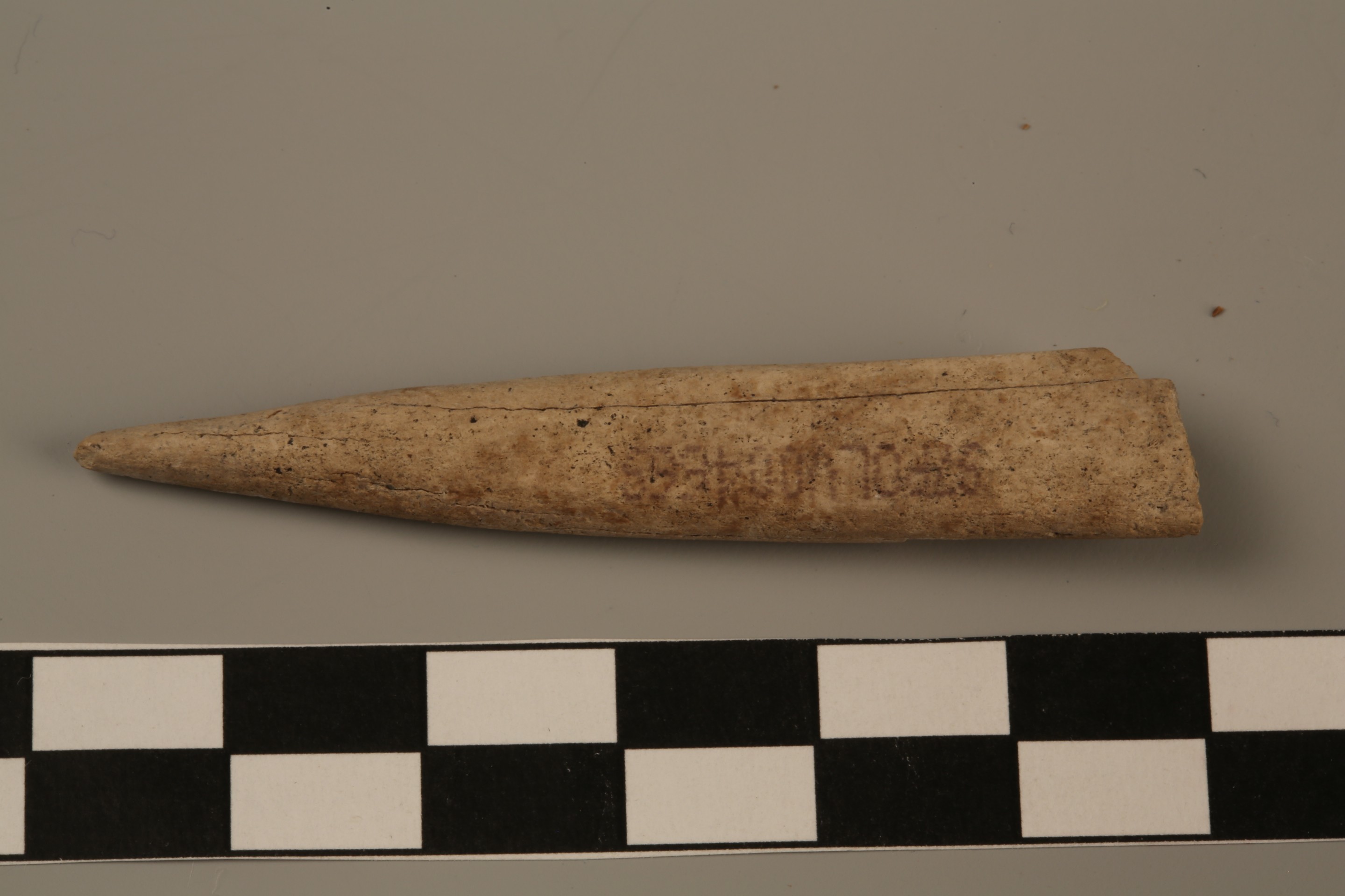 Nog een foto van  Priem/els