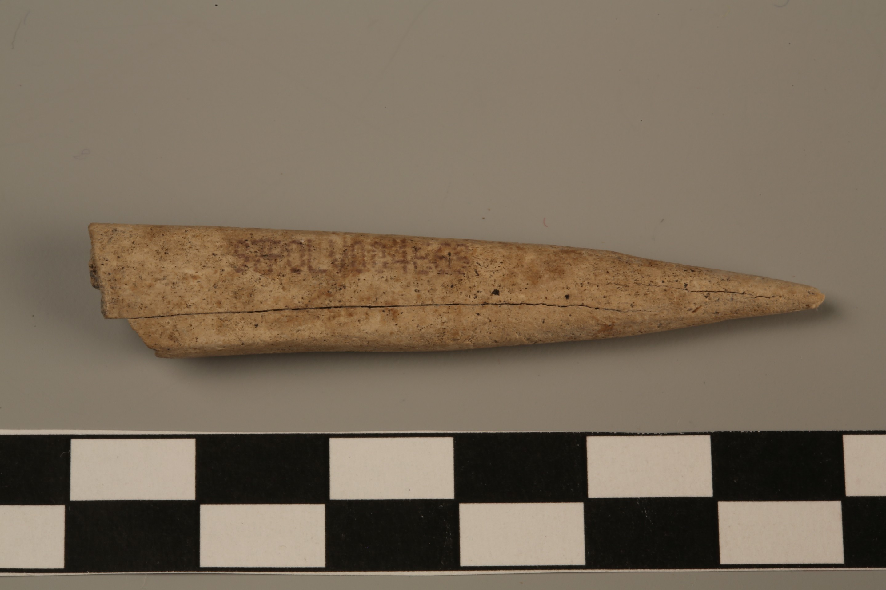 Nog een foto van  Priem/els