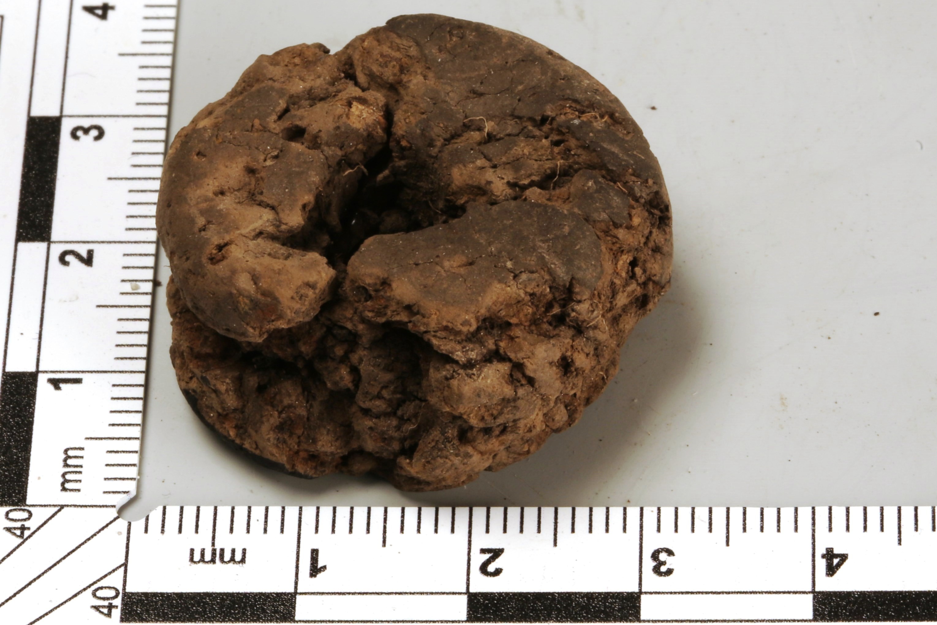 Nog een foto van  Spinklos/spinschijf/spinsteen