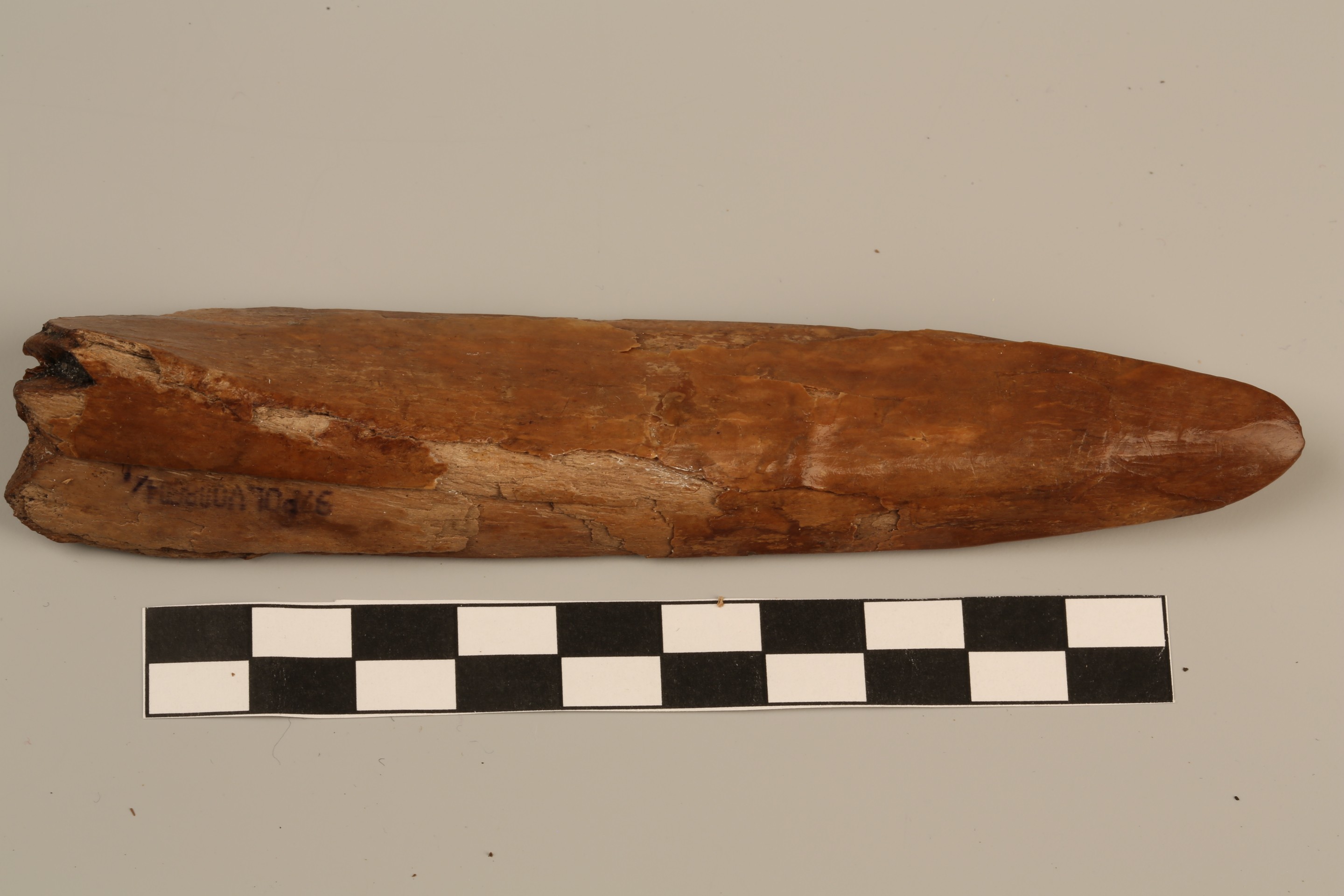 Nog een foto van  Spatel