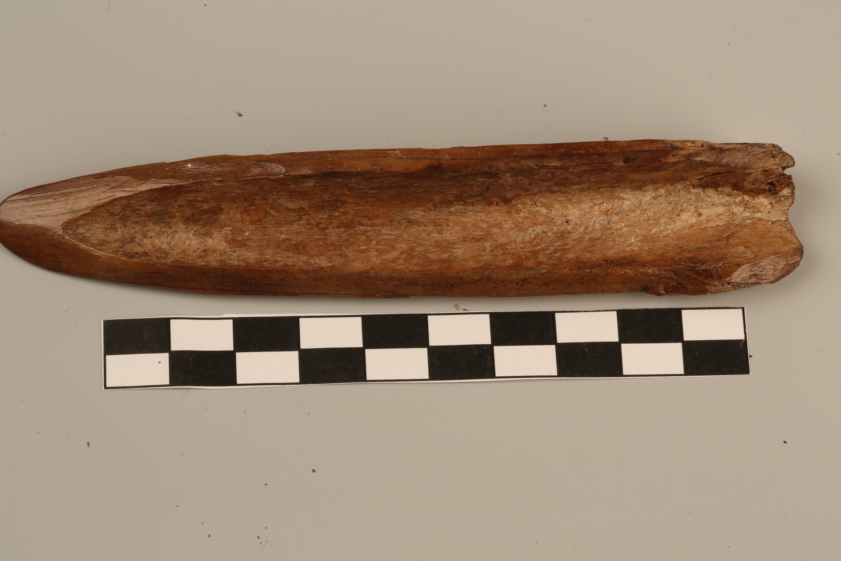 Nog een foto van  Spatel