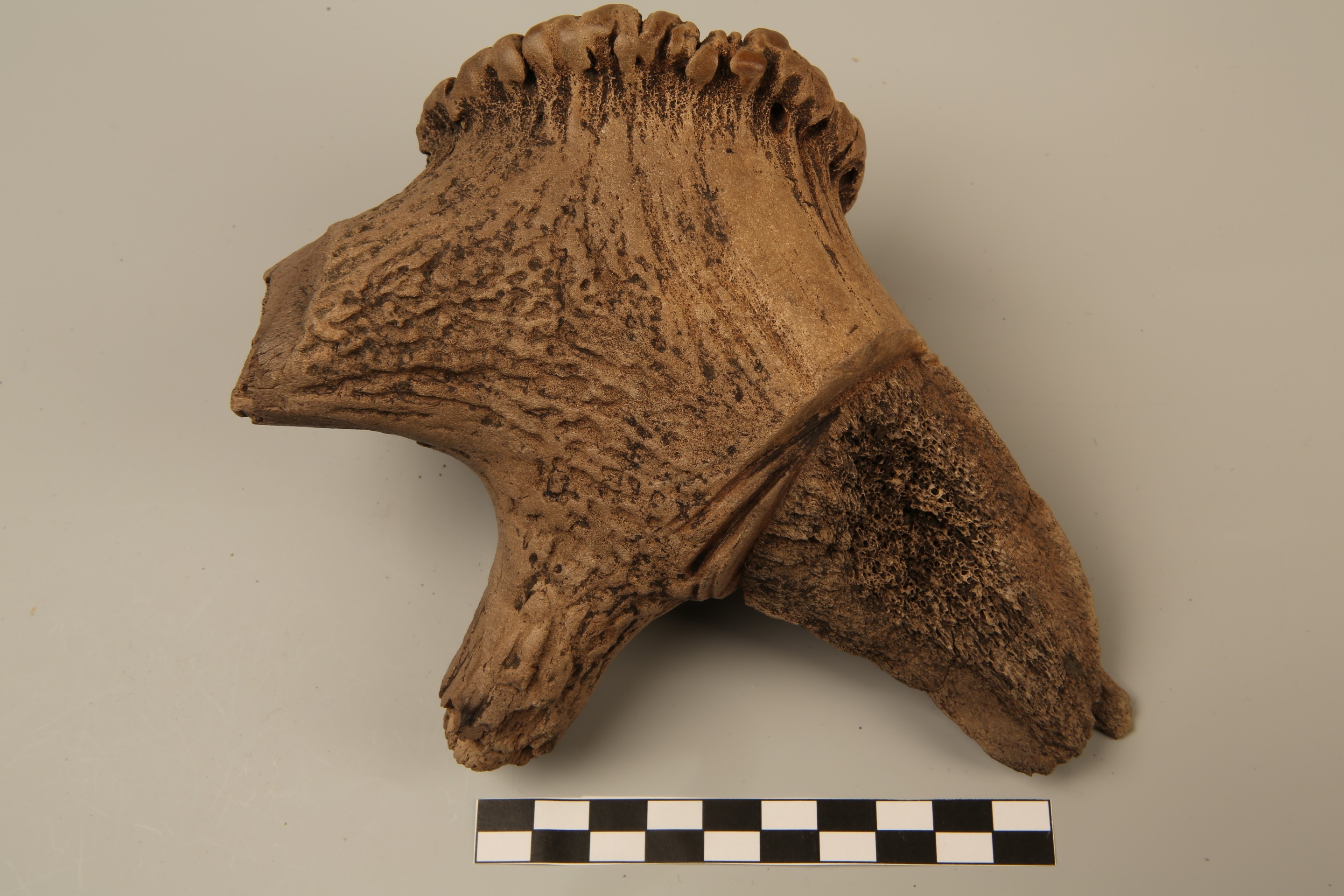 Foto van Werktuig/gereedschap (onderdeel)