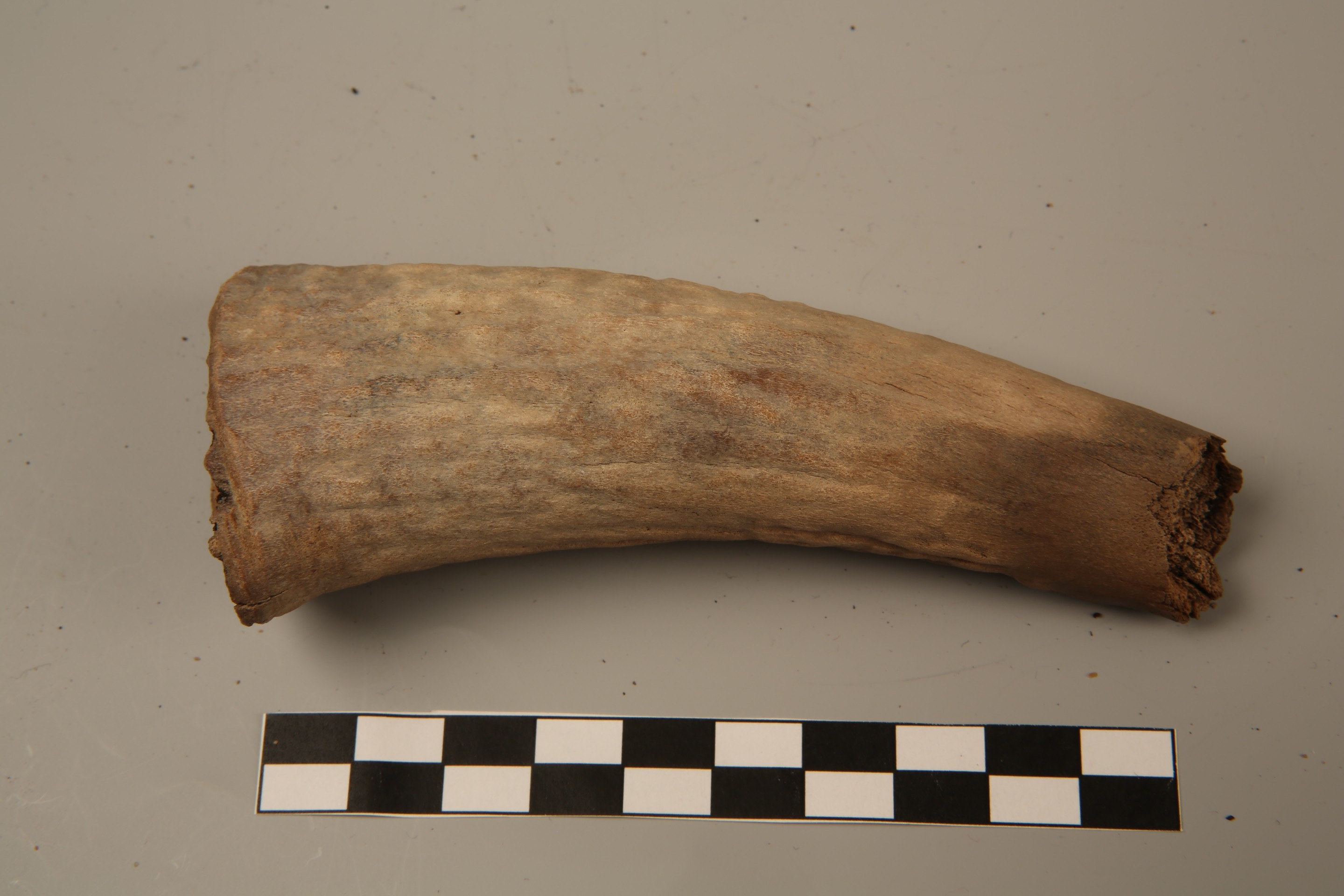 Nog een foto van  Werktuig/gereedschap (onderdeel)