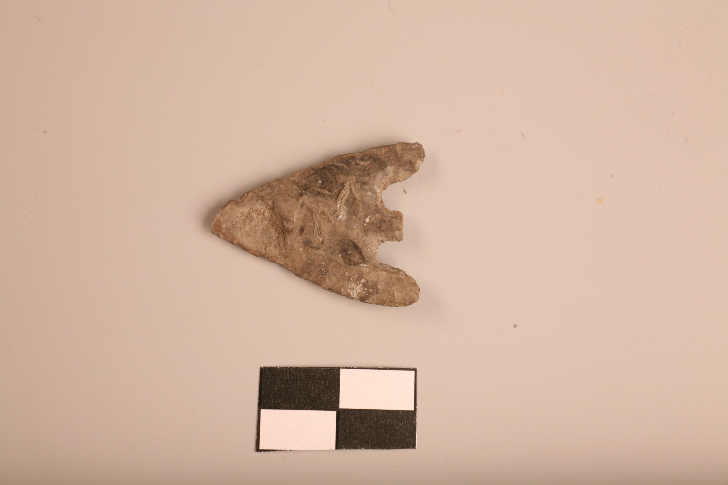 Foto van schachtdoorn en weerhaken