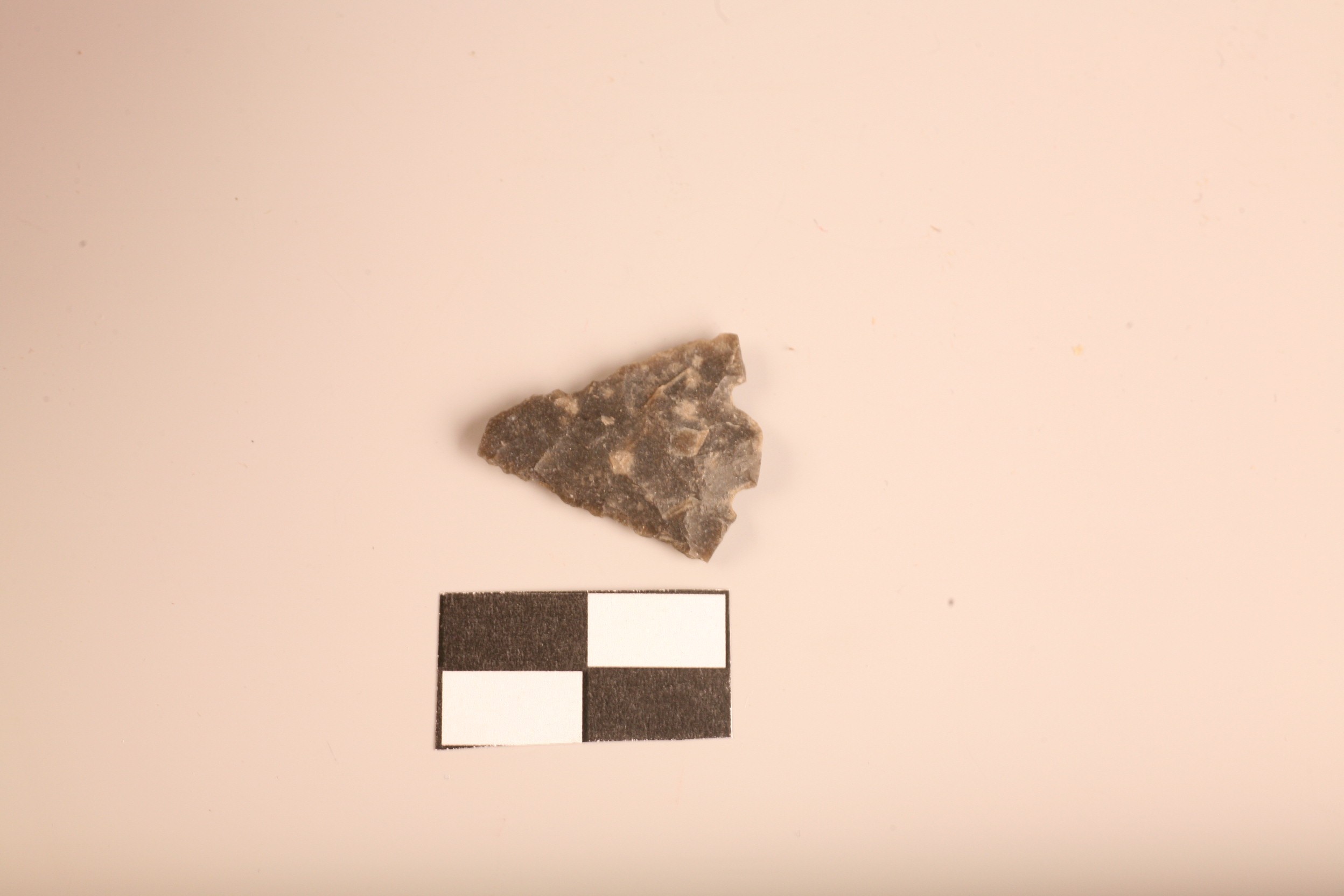 Nog een foto van  schachtdoorn en weerhaken