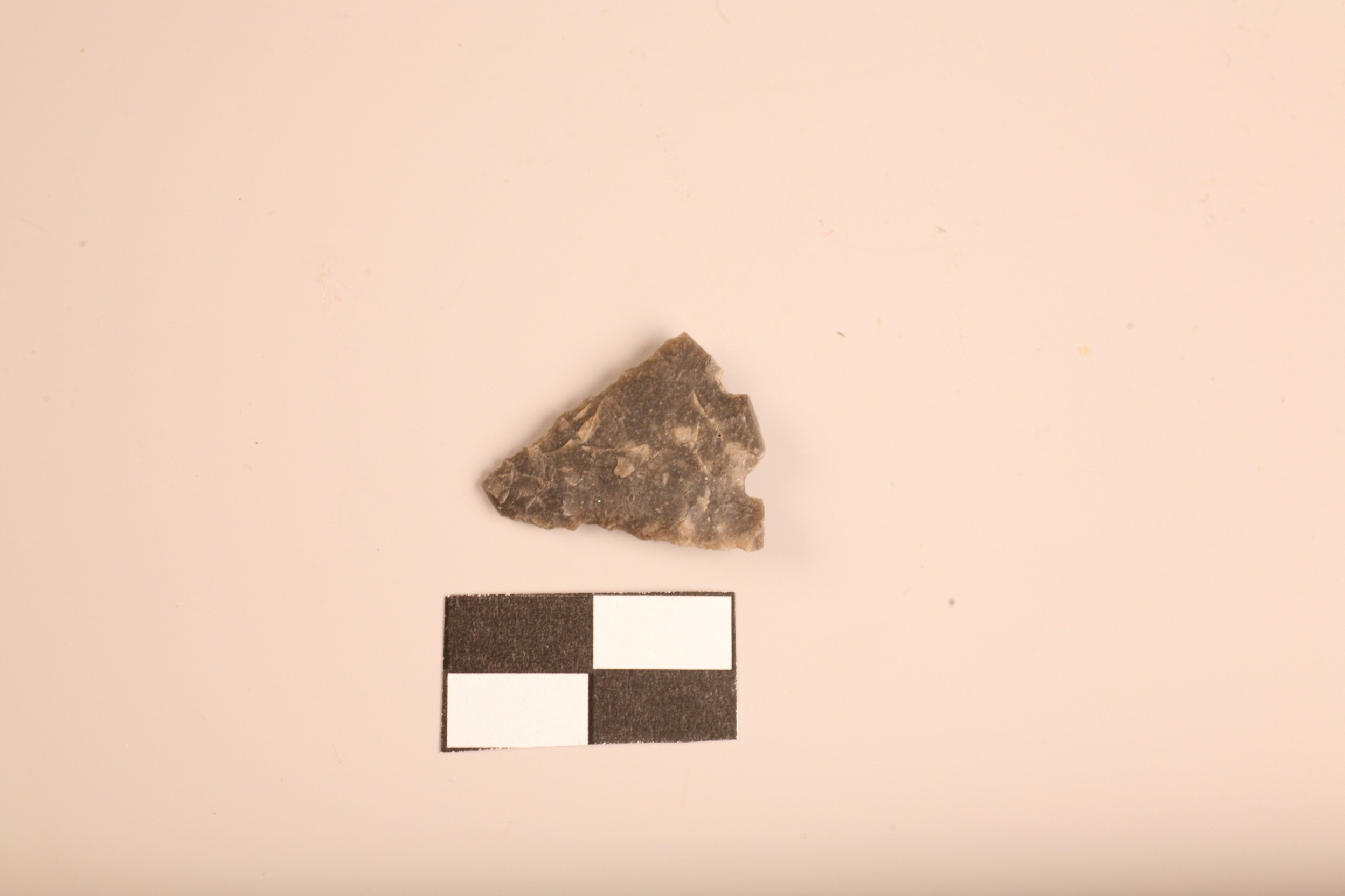 Nog een foto van  schachtdoorn en weerhaken