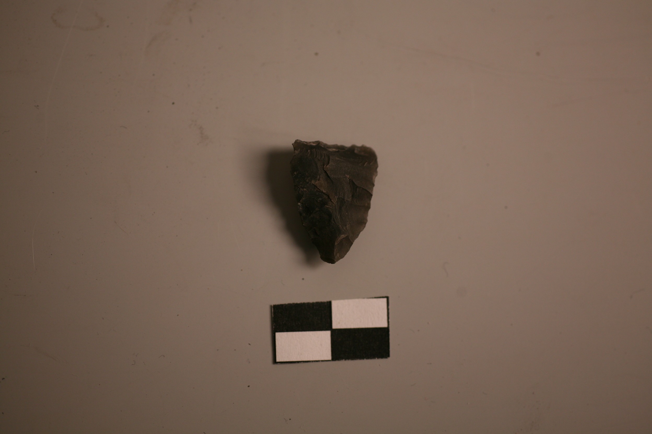 Nog een foto van  Spits