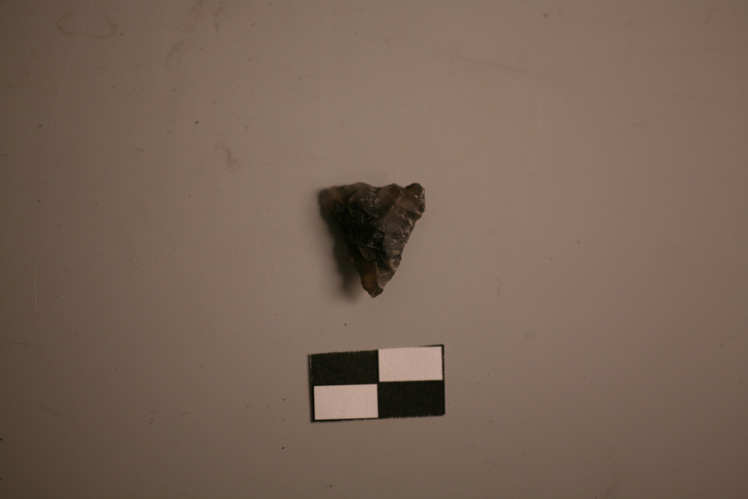 Nog een foto van  Spits