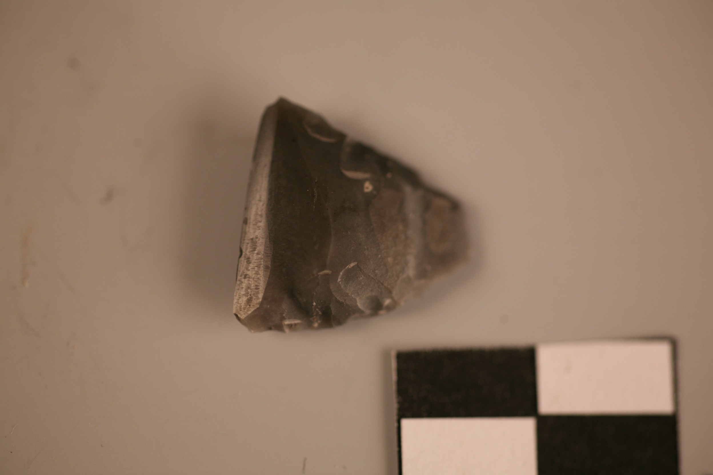 Nog een foto van  Spits