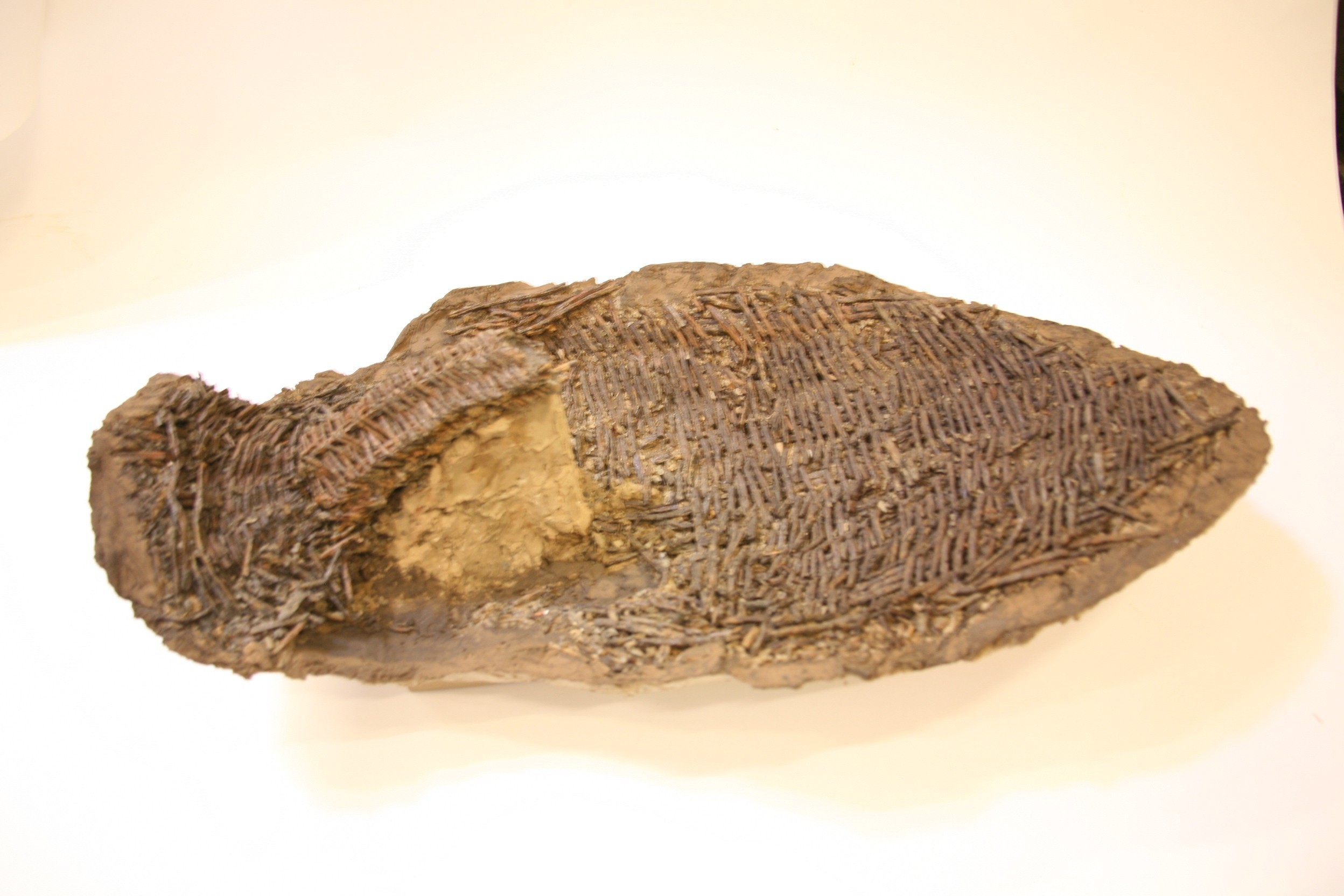 Nog een foto van  Visfuik