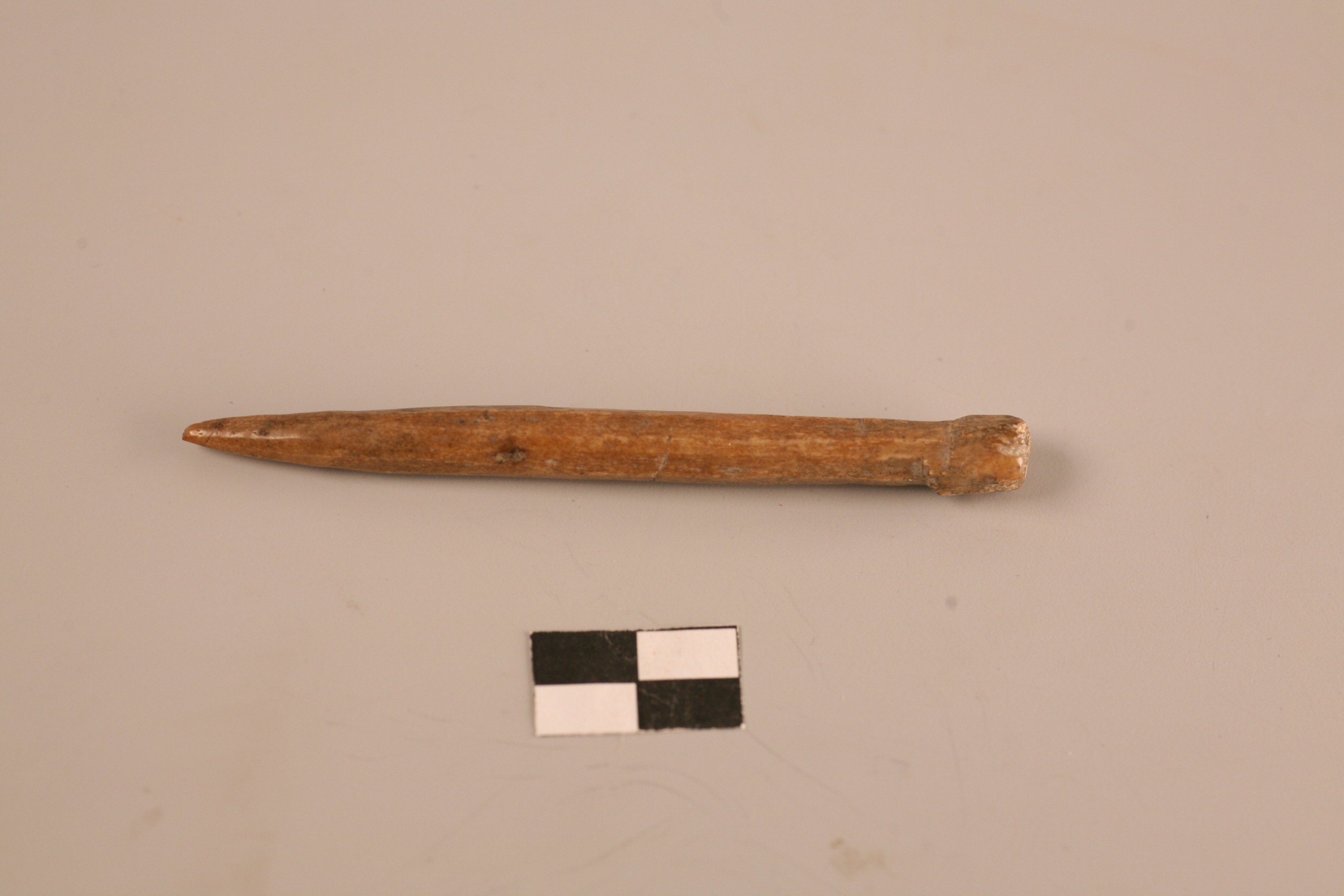 Nog een foto van  Priem/els