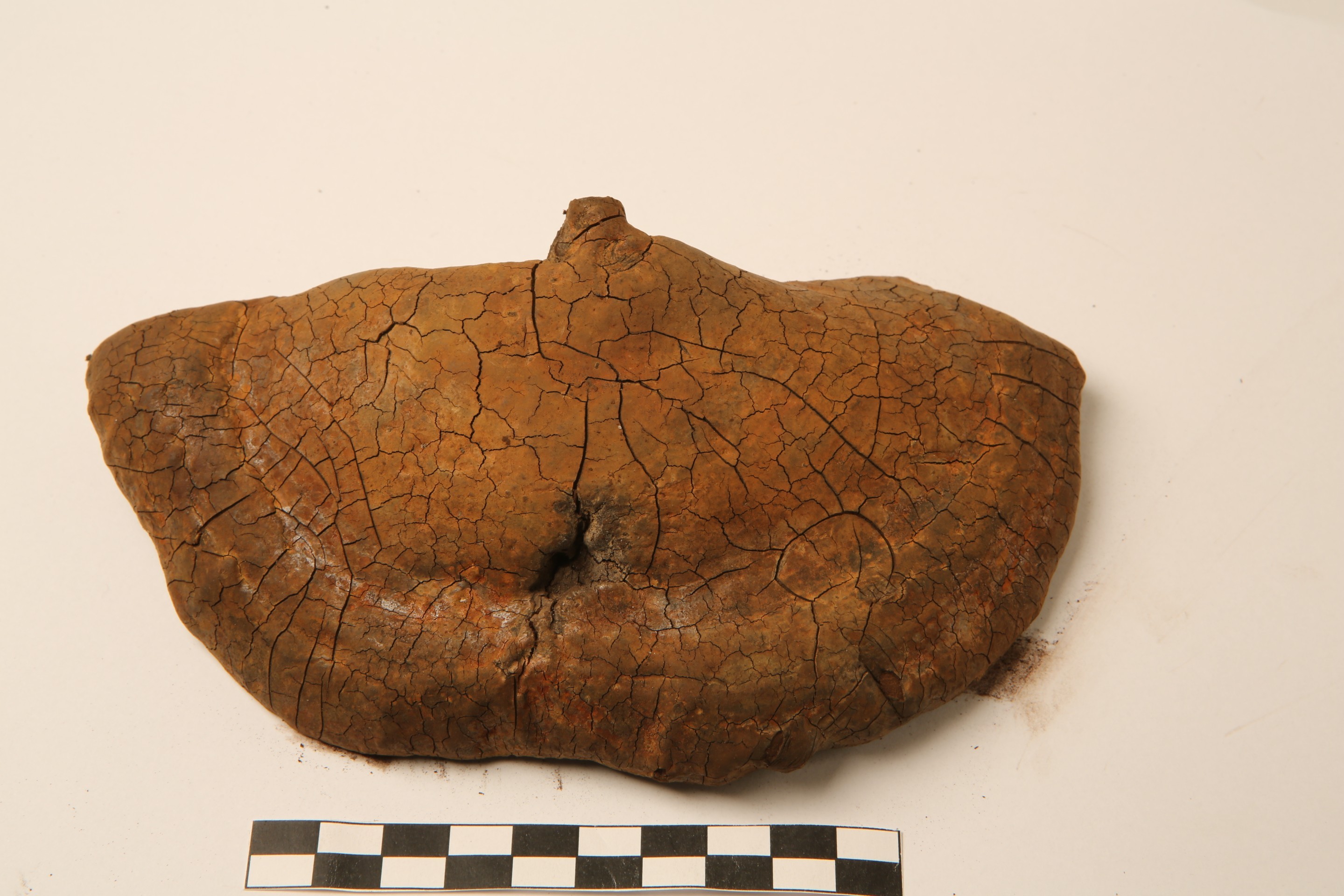 Nog een foto van  Organisch plantaardig