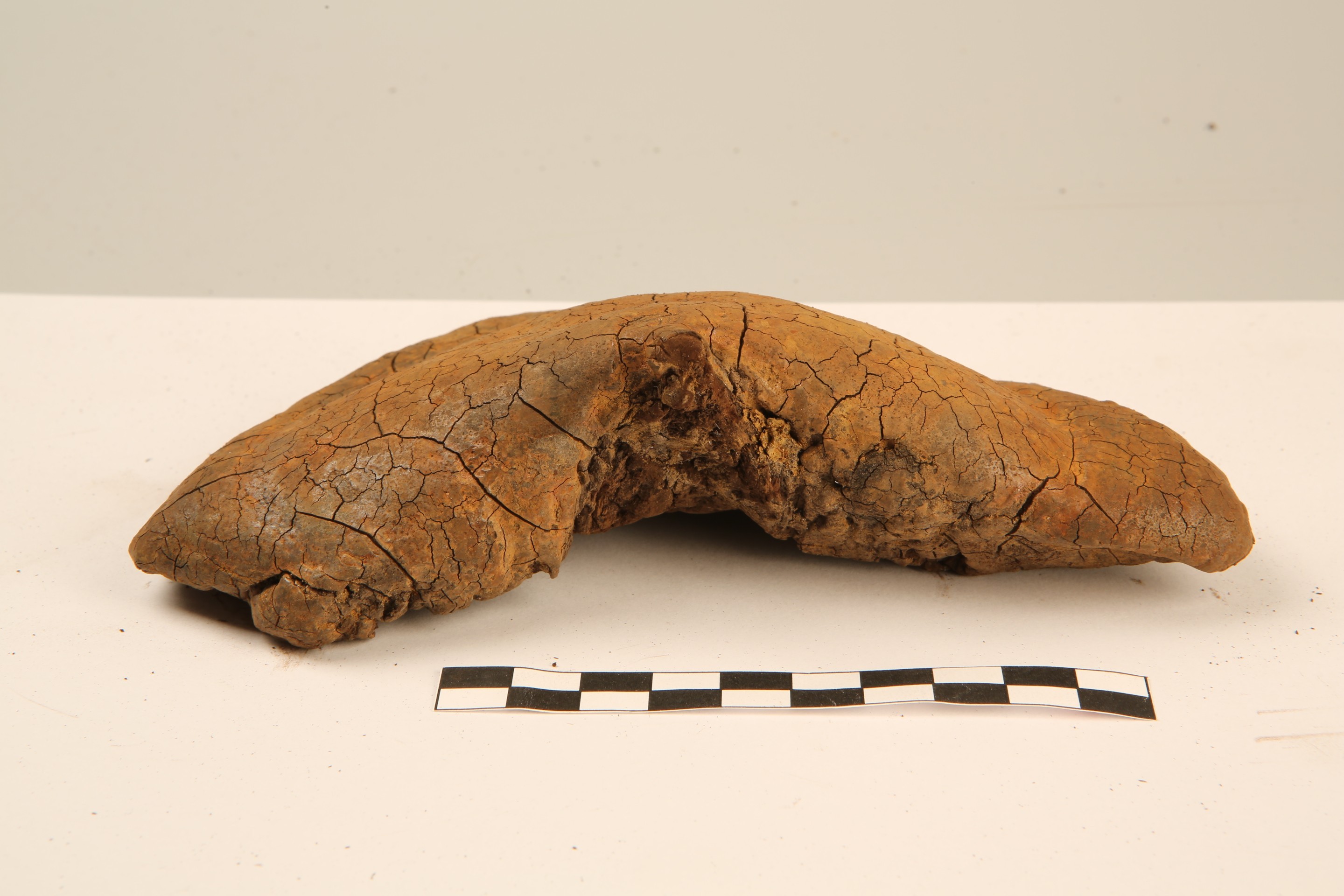 Nog een foto van  Organisch plantaardig