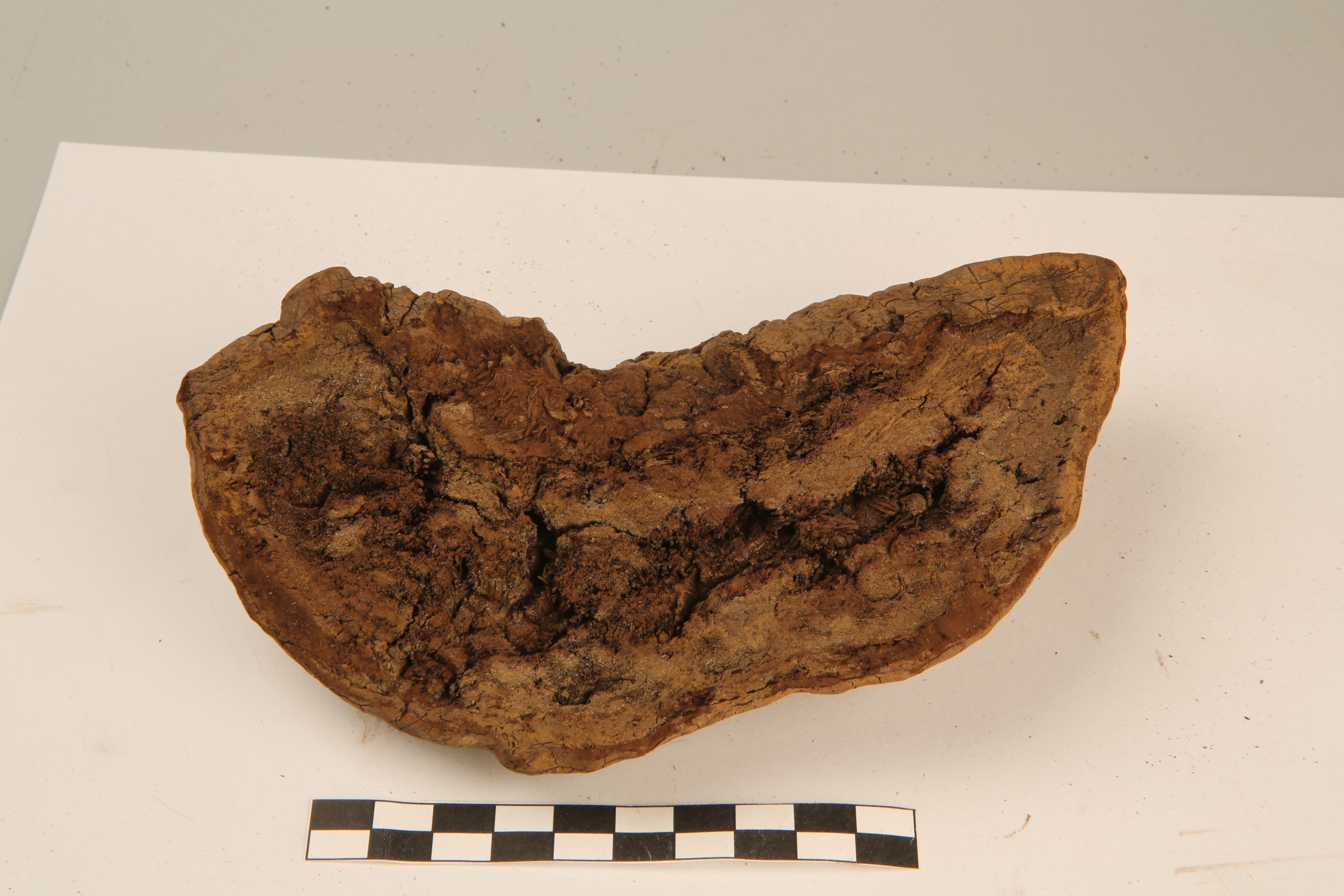 Nog een foto van  Organisch plantaardig