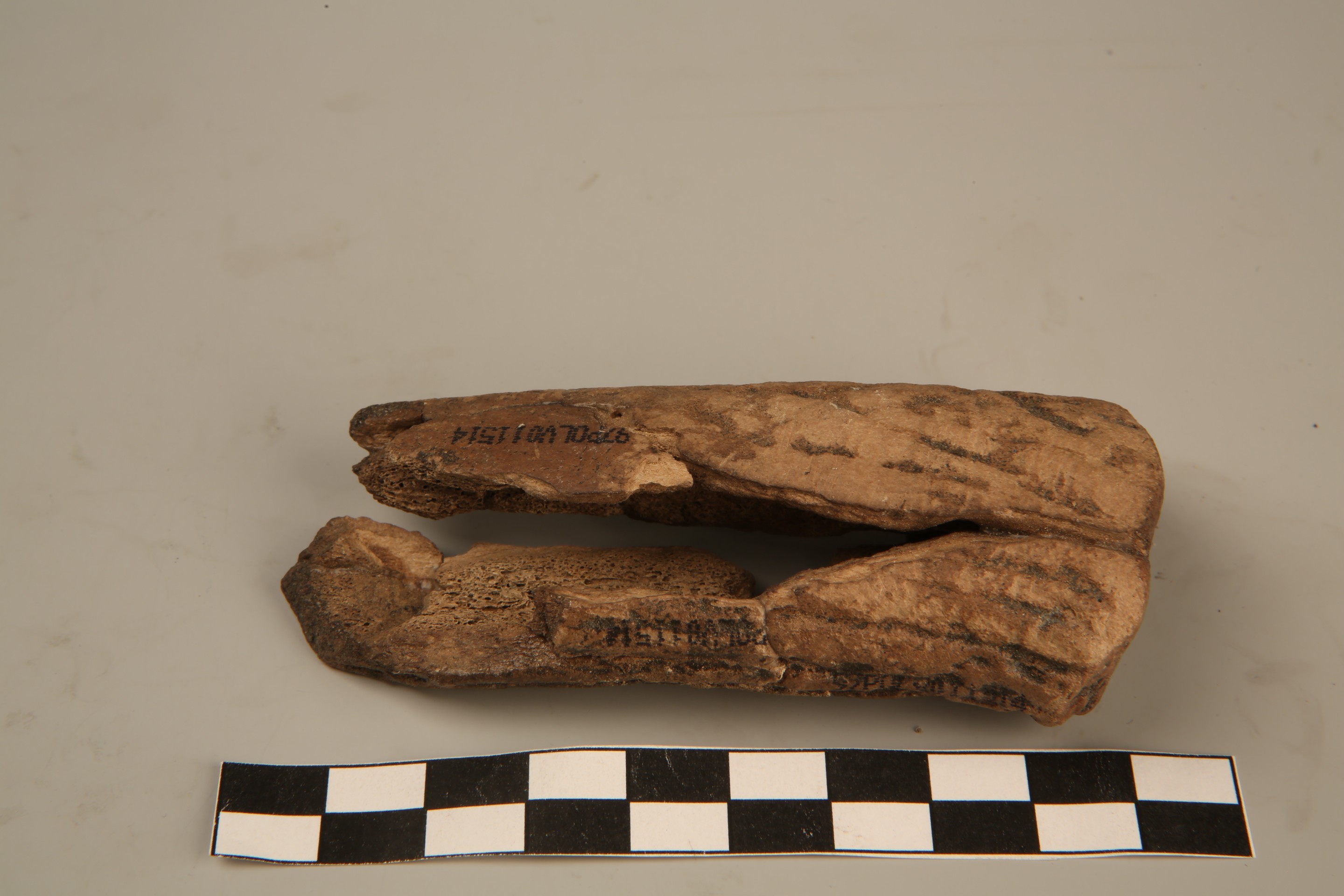 Nog een foto van  Bijl