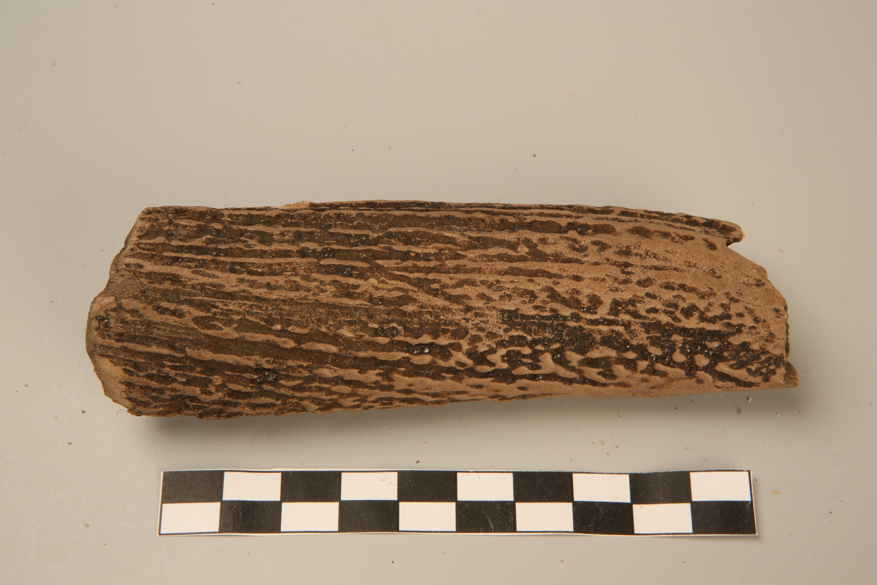 Nog een foto van  Bijl