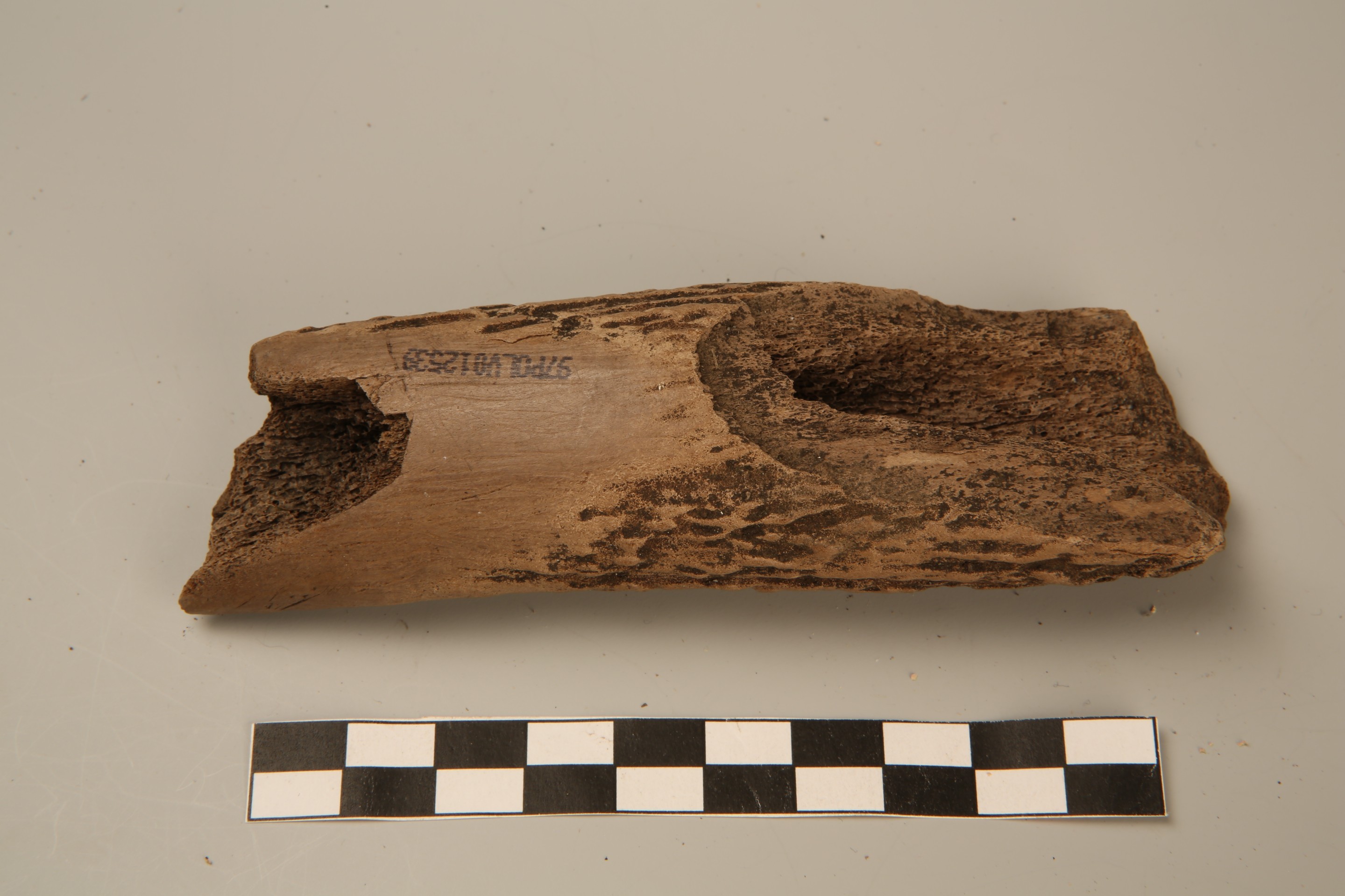 Nog een foto van  Bijl