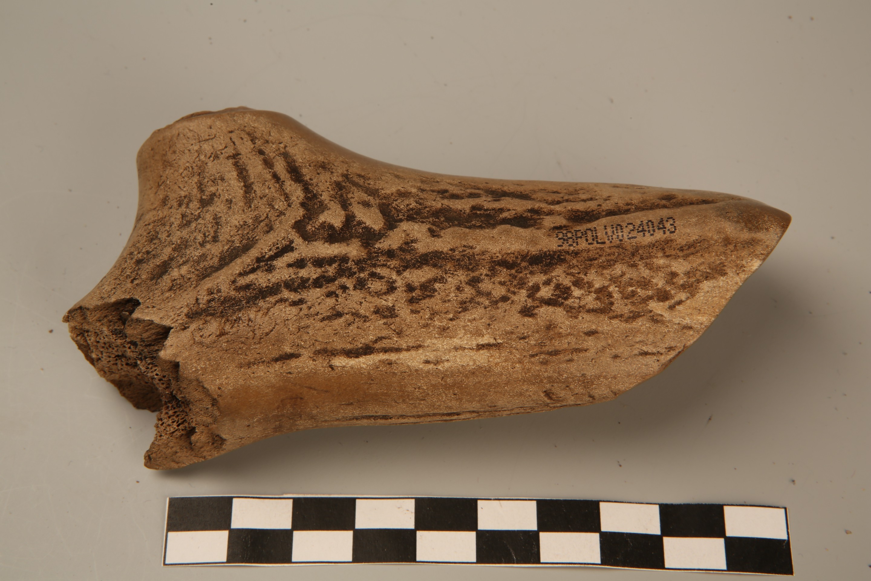 Nog een foto van  Bijl