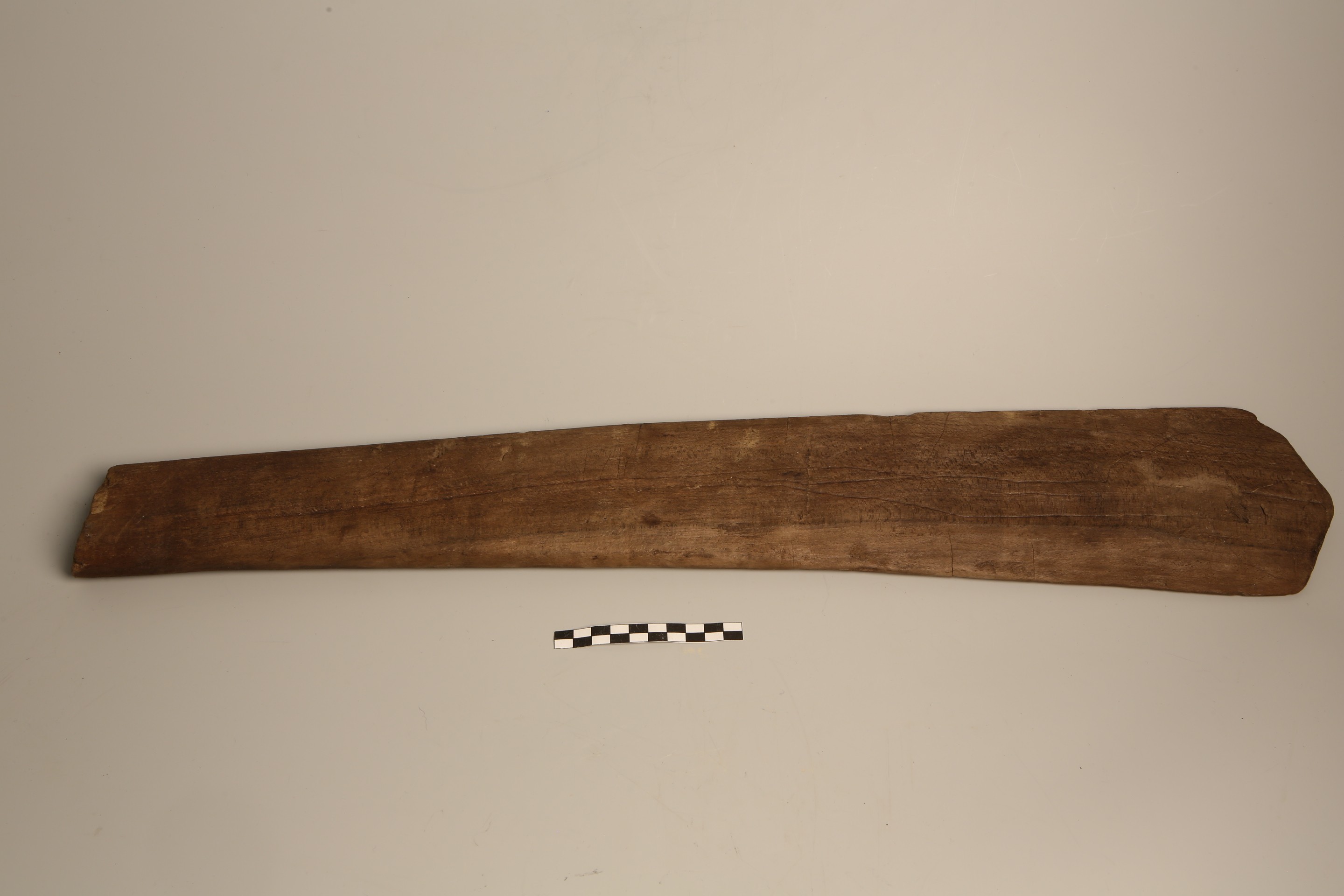 Nog een foto van  roeiriem/roeispaan