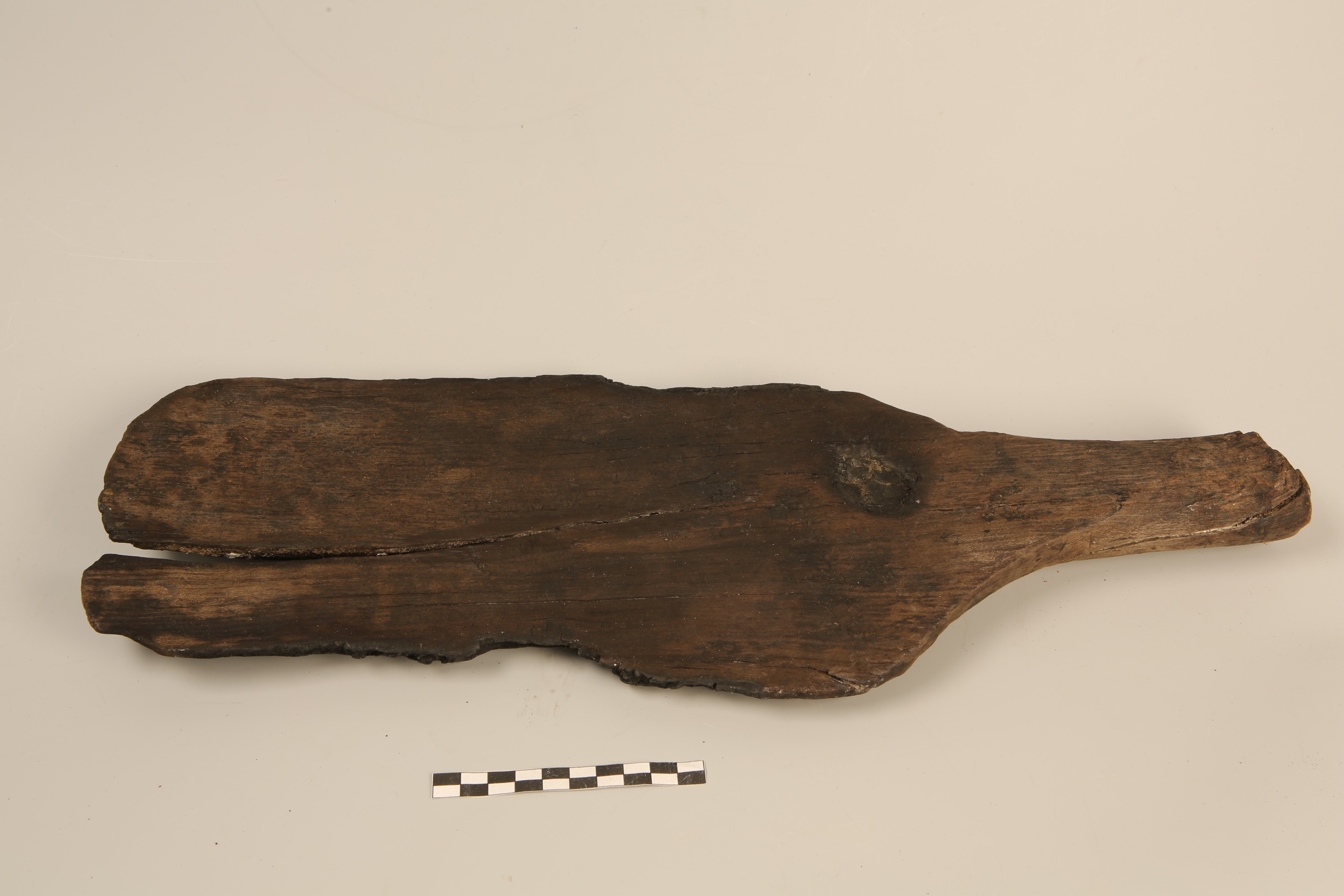 Foto van roeiriem/roeispaan