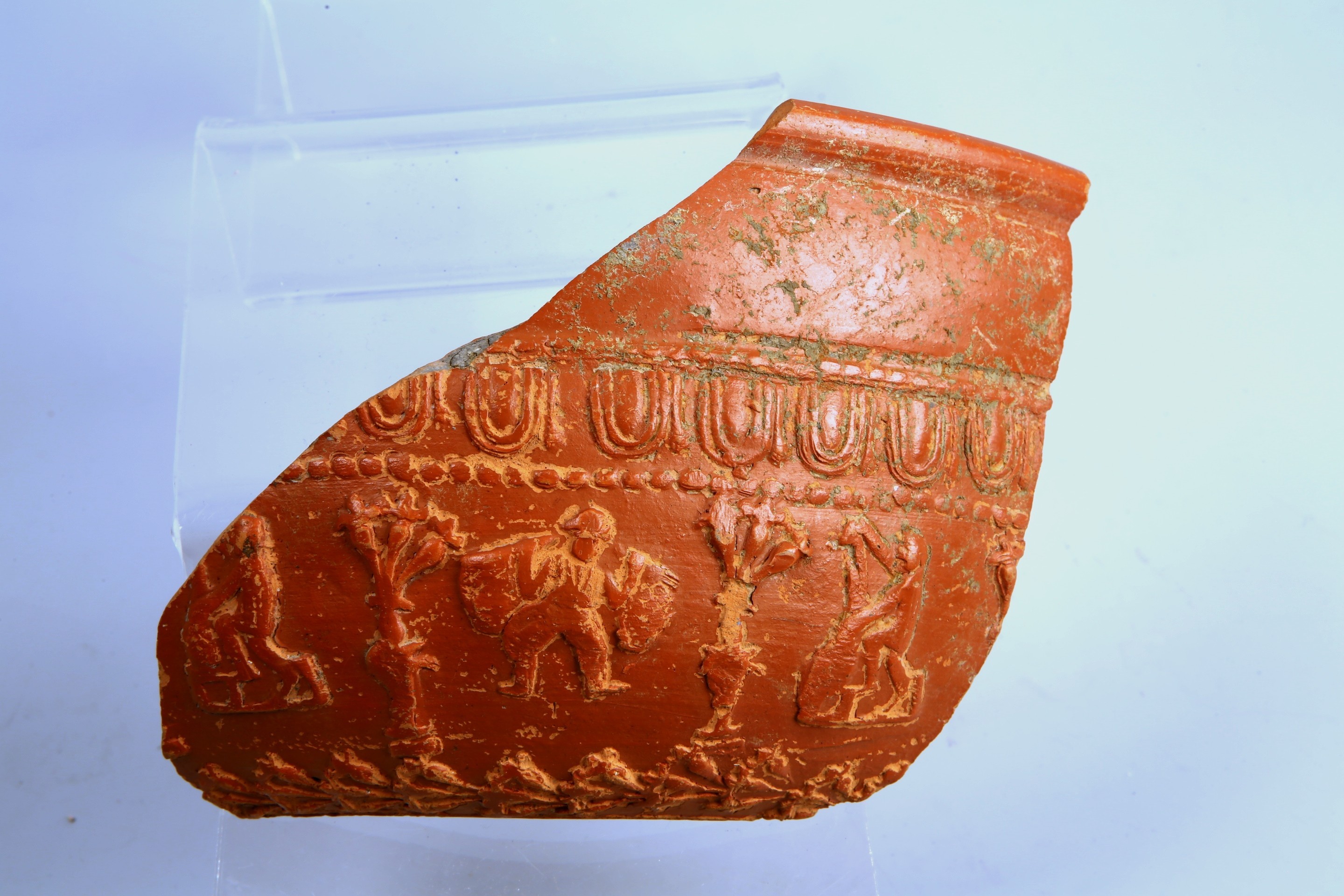 Foto van Dragendorff 37