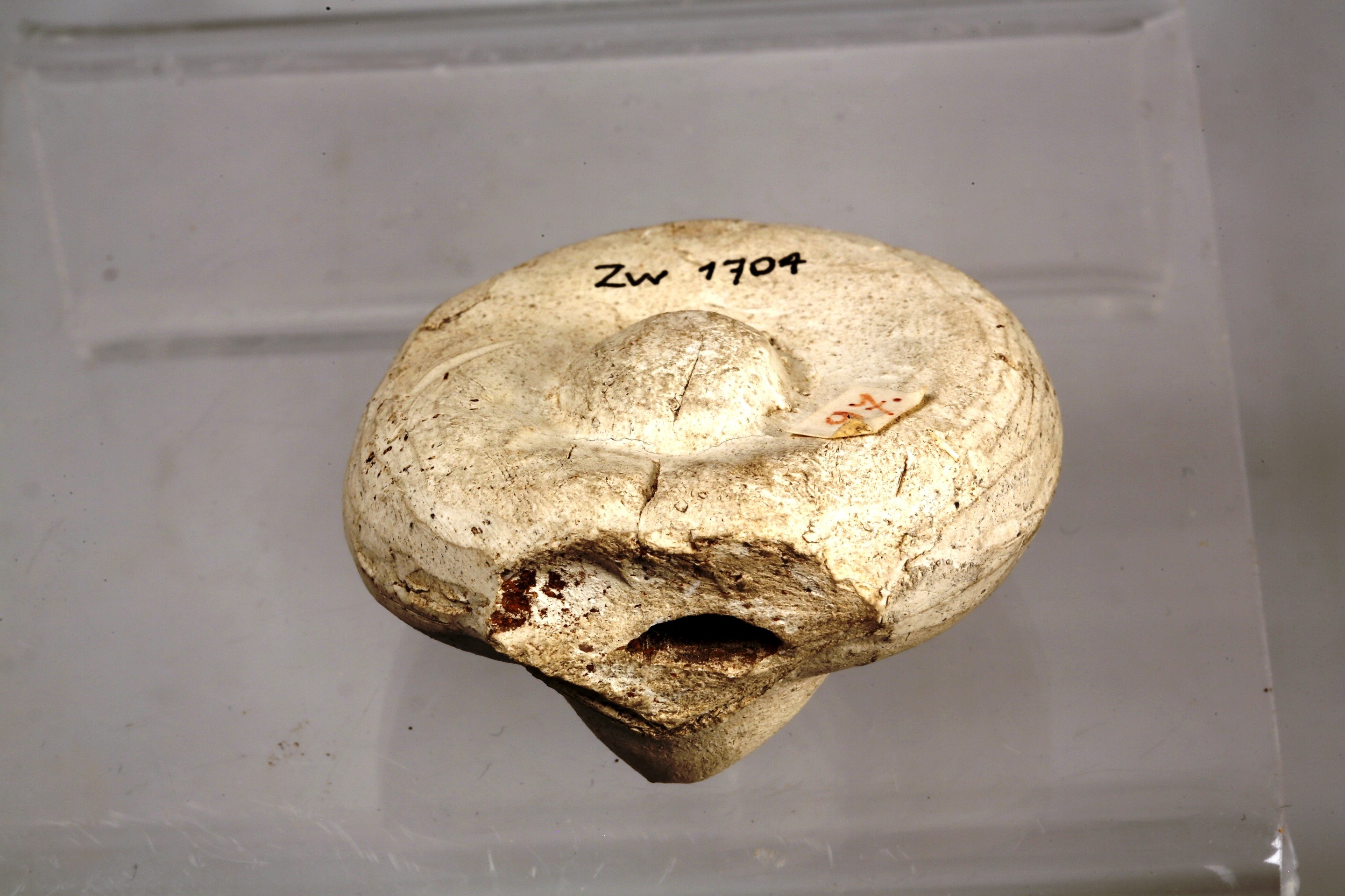 Nog een foto van  godheid/god/godin