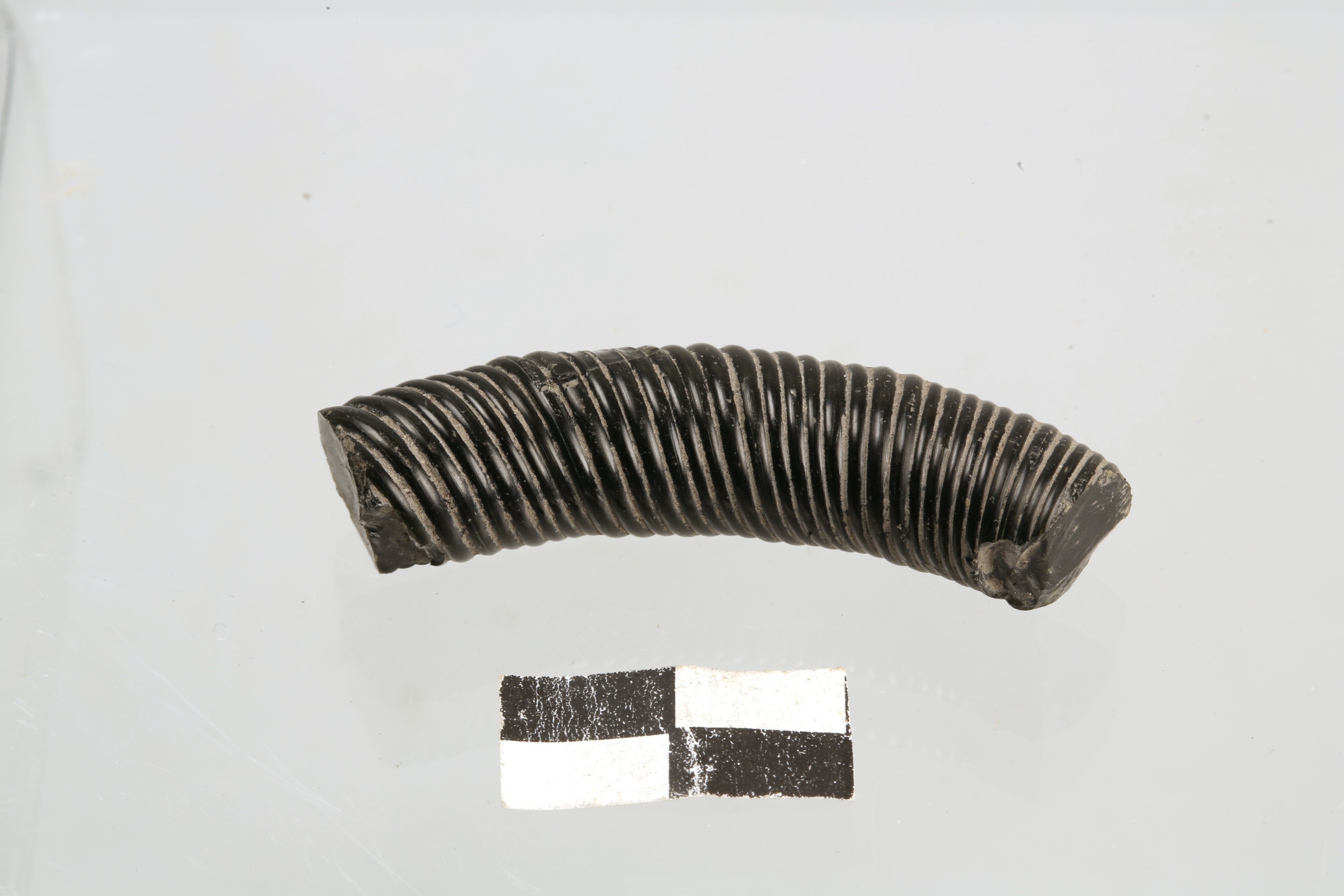 Nog een foto van  Armband/armring