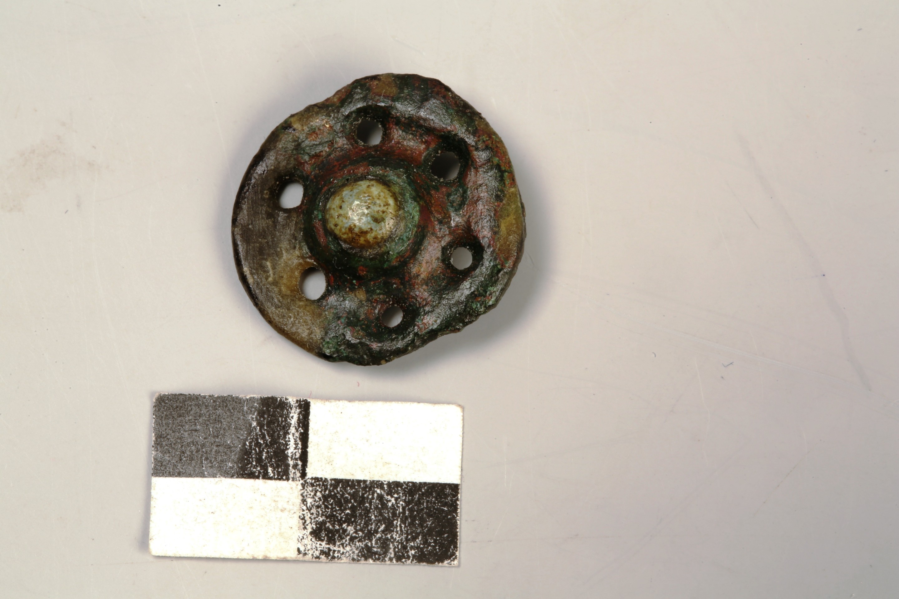 Foto van Schijffibula