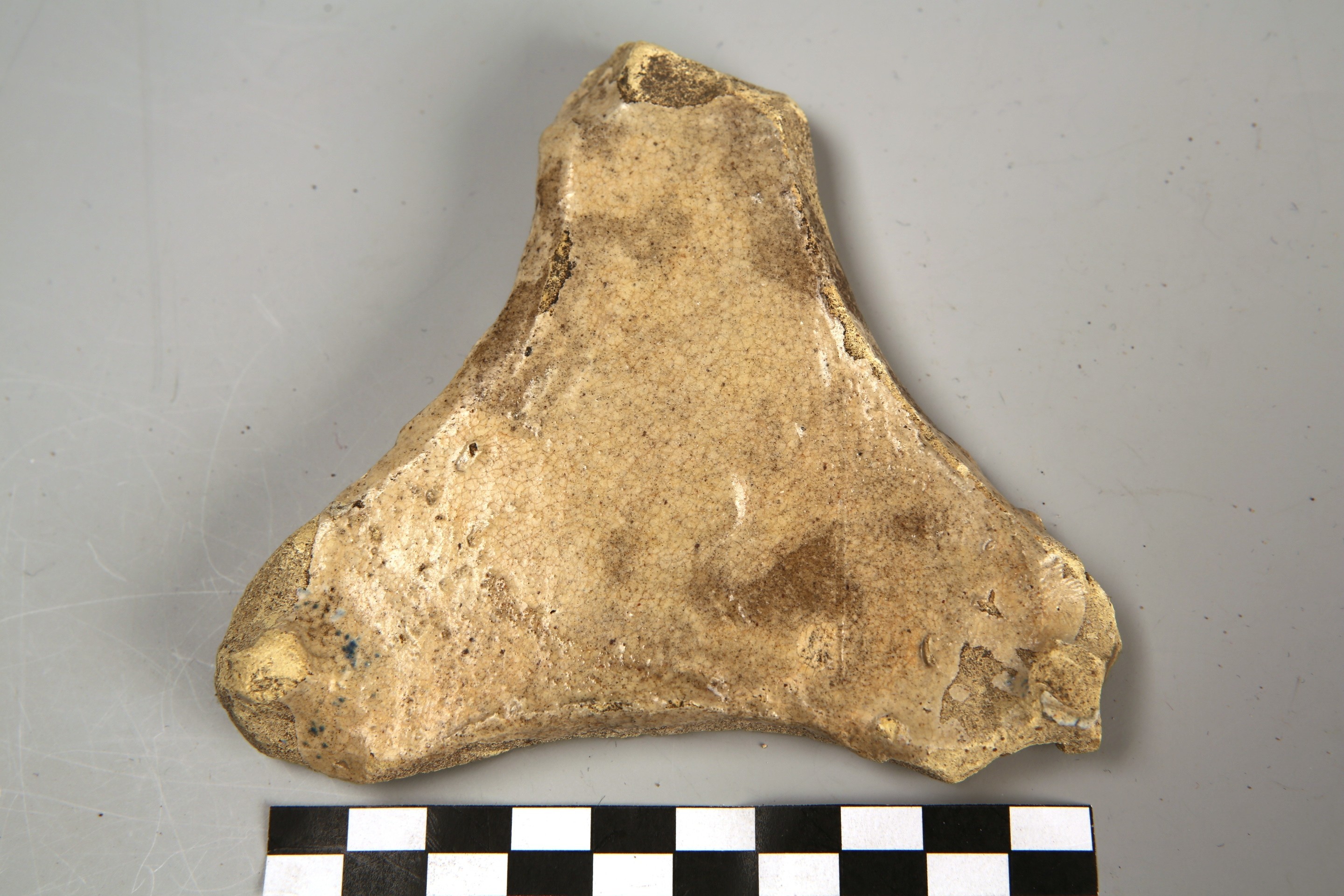 Nog een foto van  Proen (driehoekig/cilindervormig)