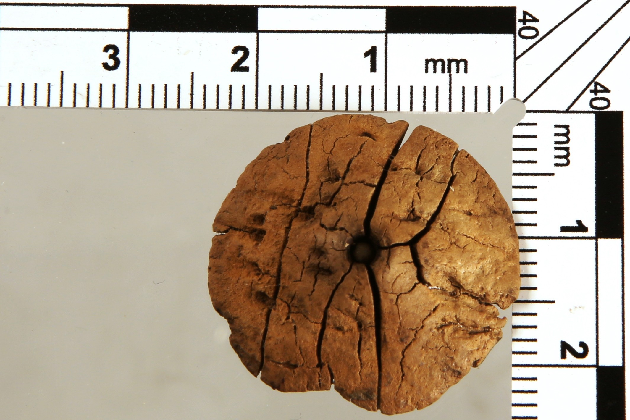 Nog een foto van  Knoop