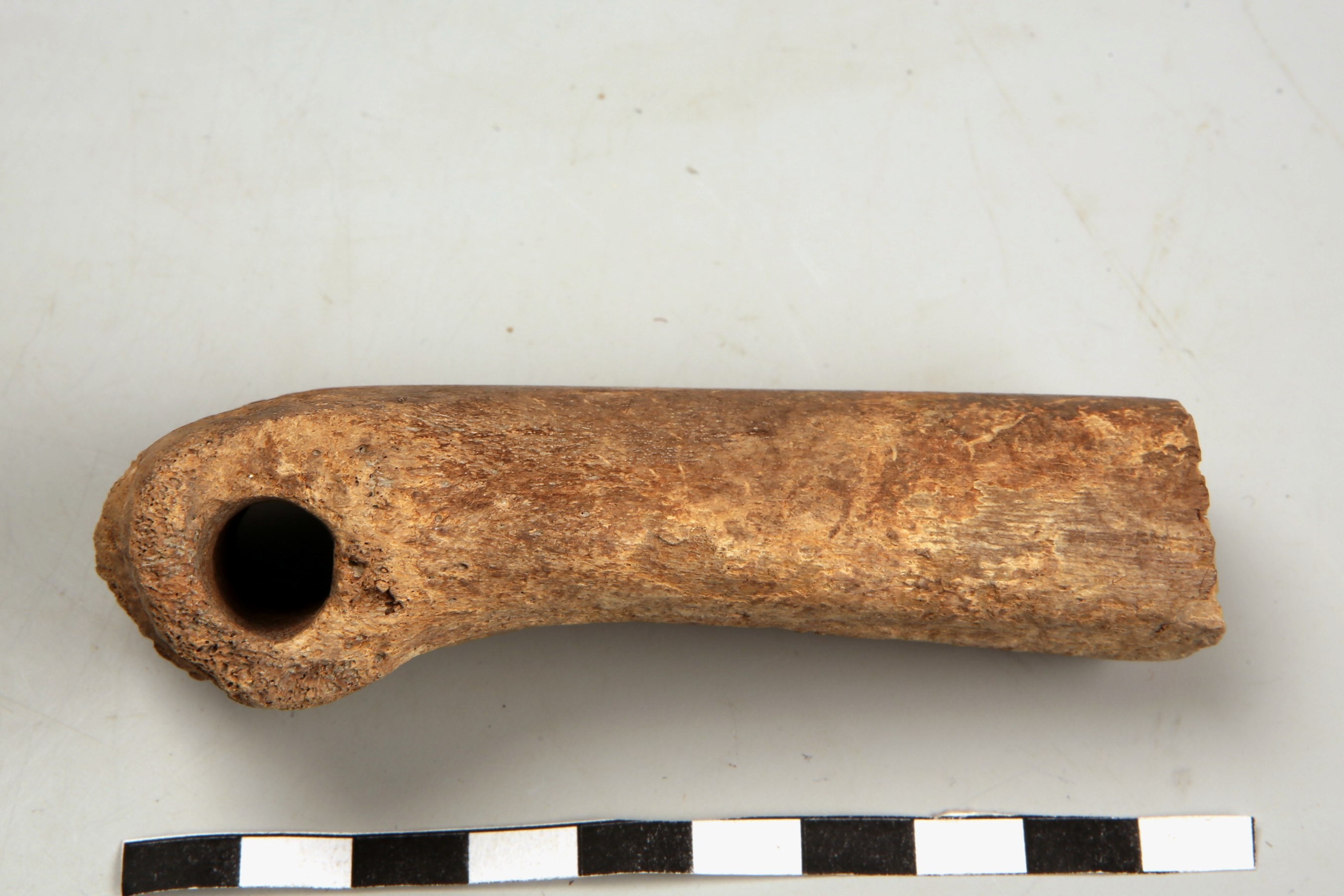 Nog een foto van  Glis