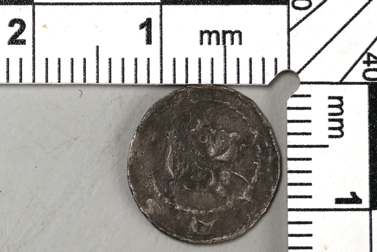 Foto van penning/penny