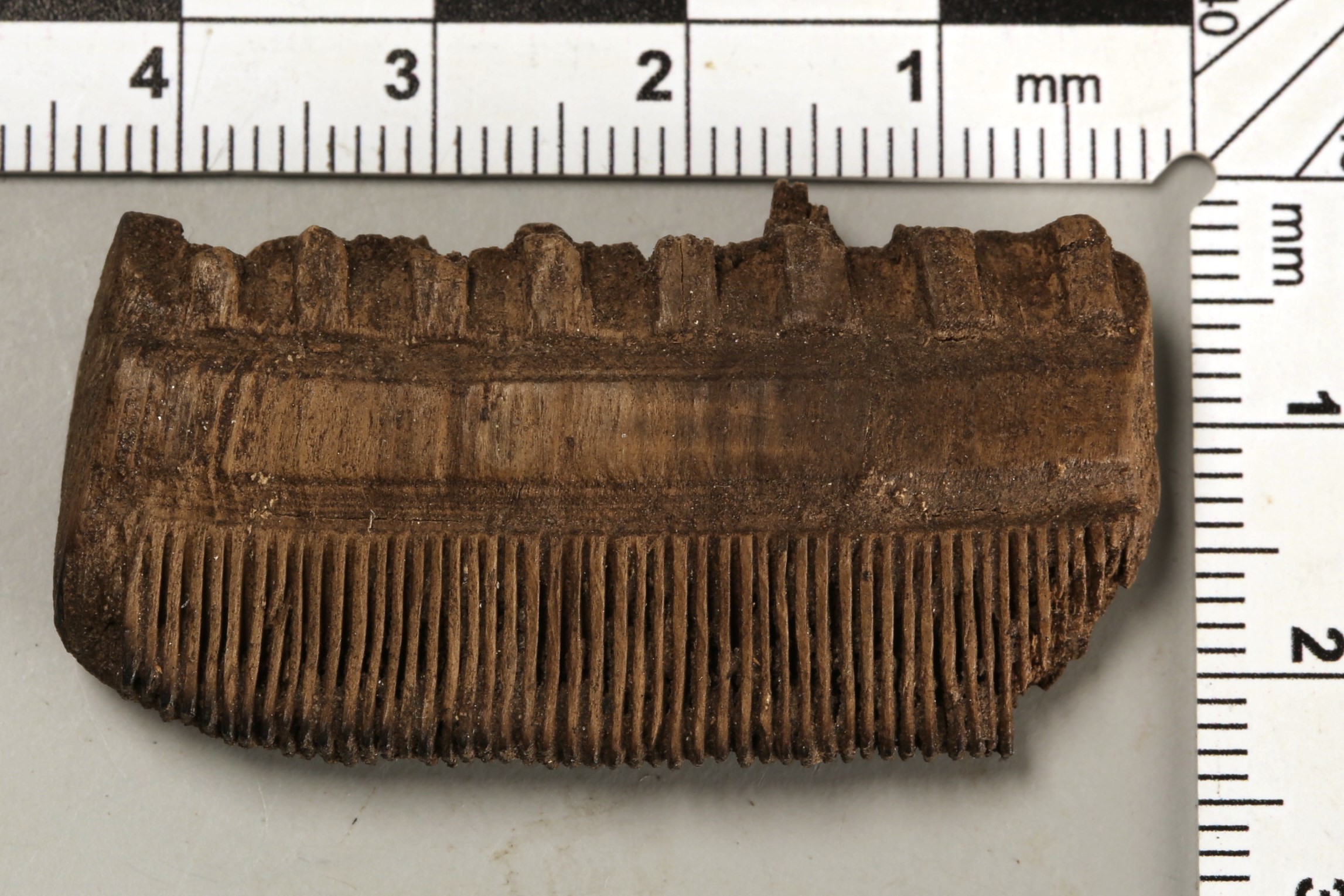 Nog een foto van  Kam