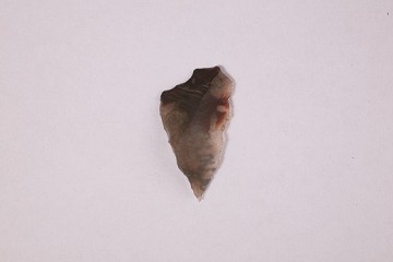 Foto van Spits