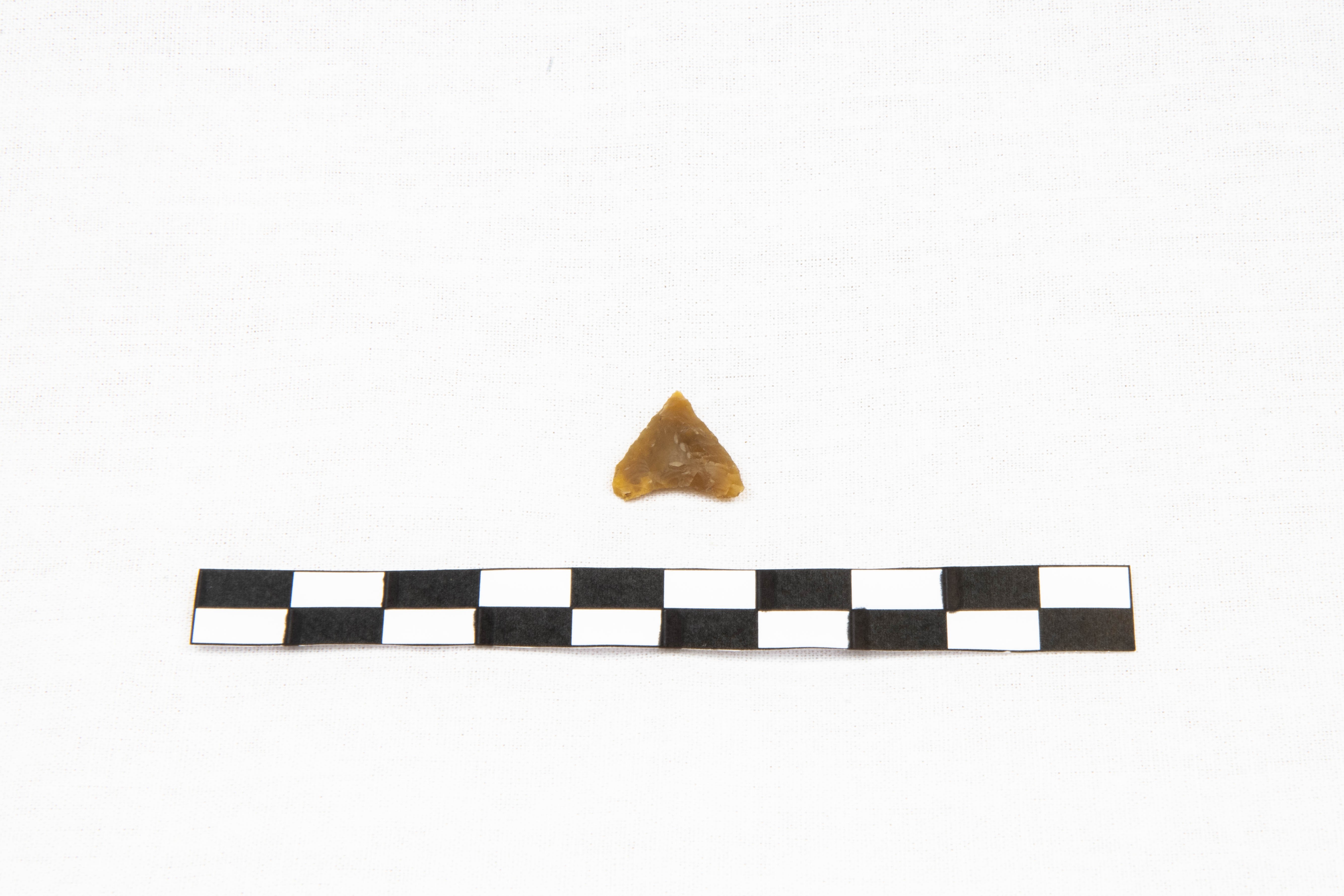 Nog een foto van  Spits