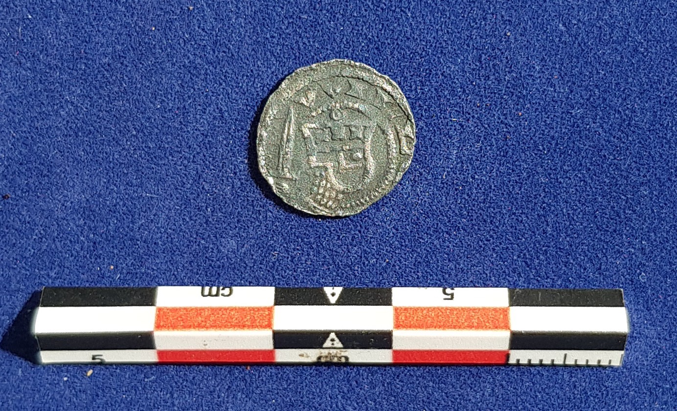 Foto van penning/penny