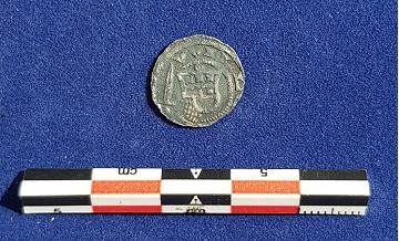 Foto van penning/penny