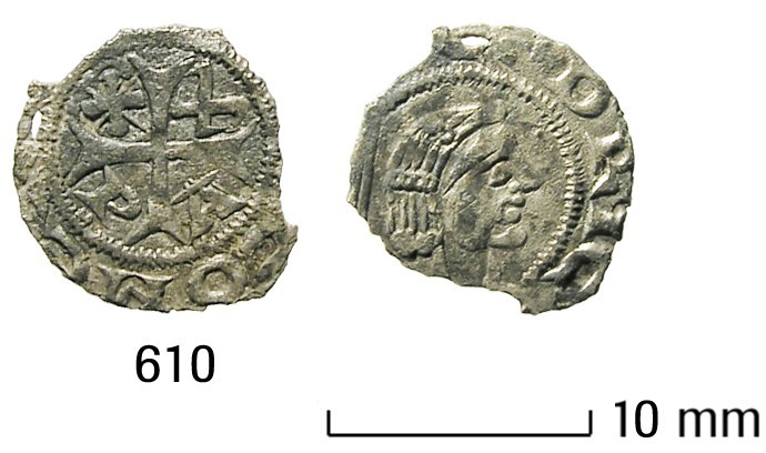 Foto van penning/penny