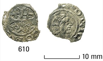 Foto van penning/penny