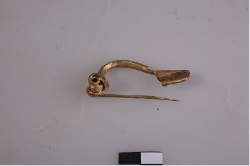Foto van Fibula/mantelspeld