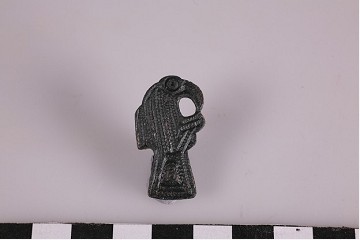 Foto van vogelfibula